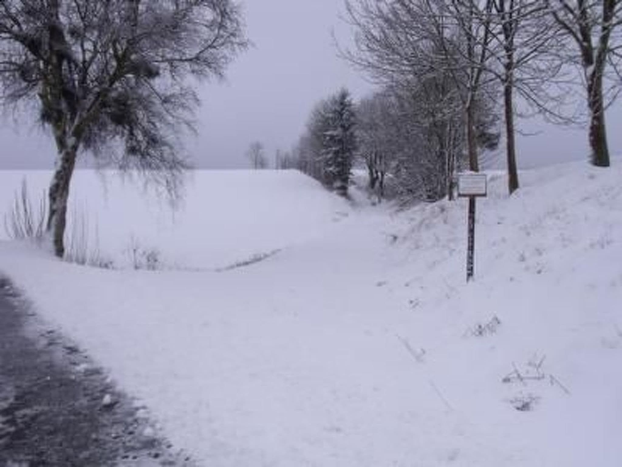 Gallery Image 31