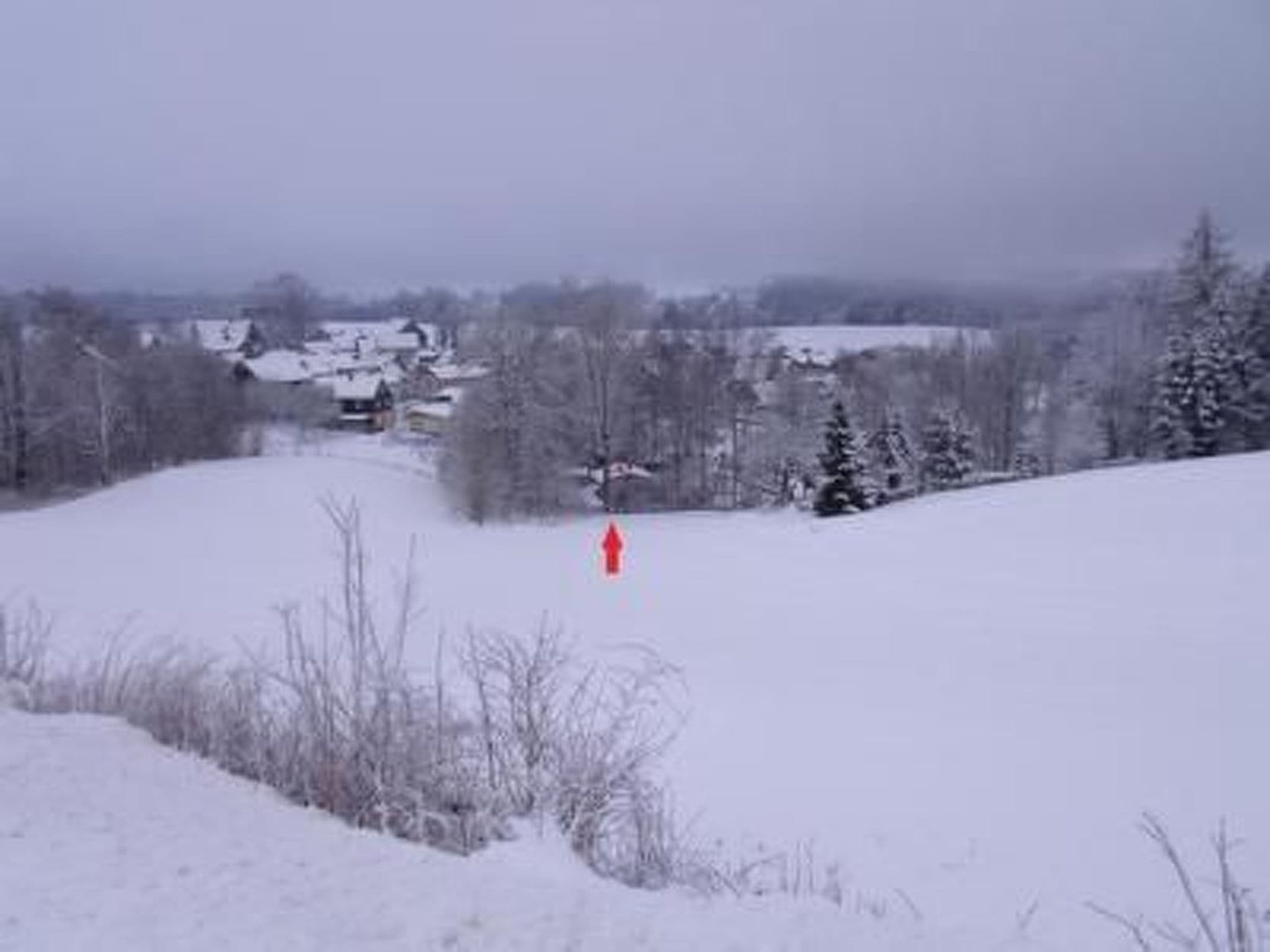 Gallery Image 35
