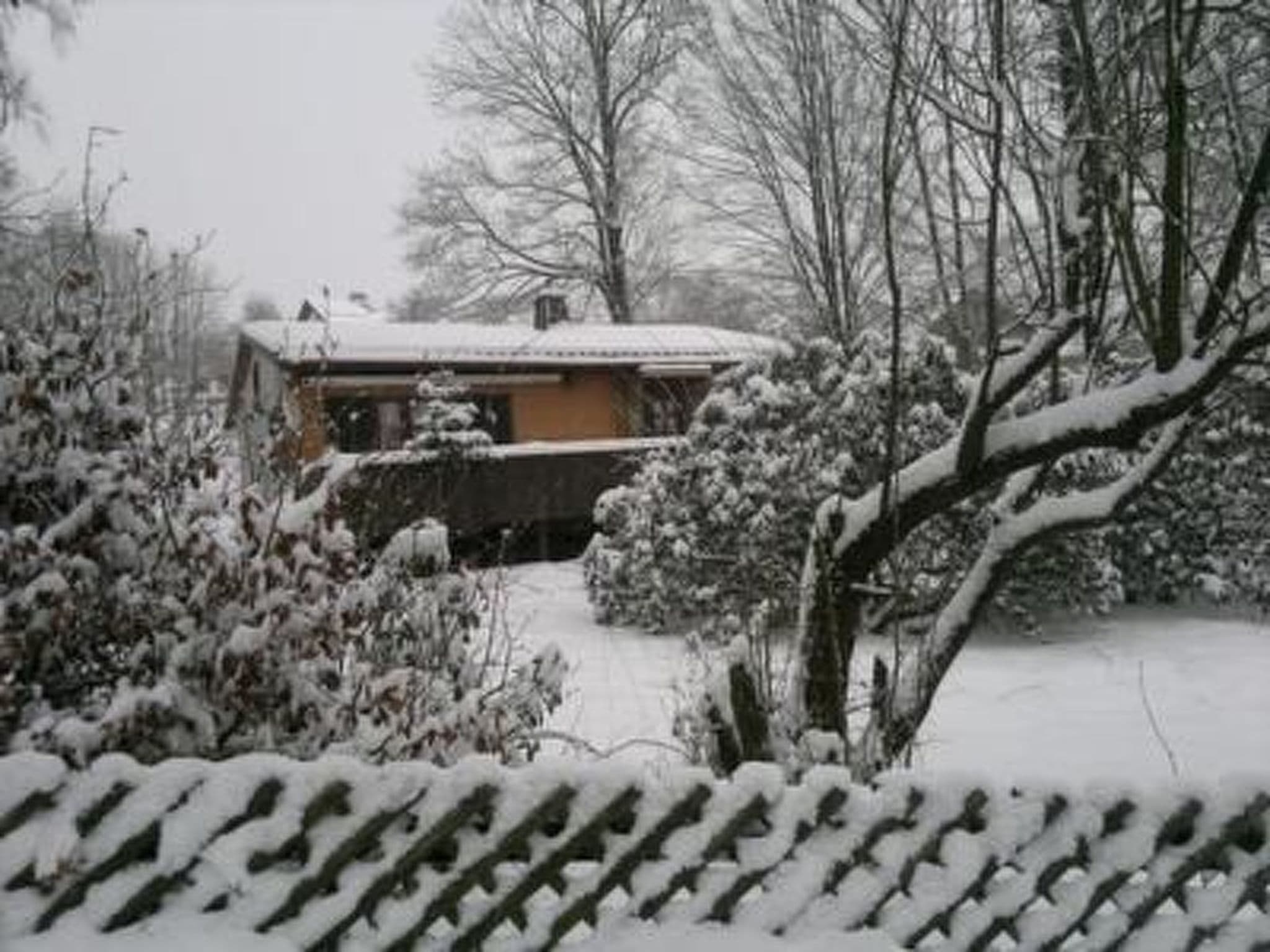 Gallery Image 36