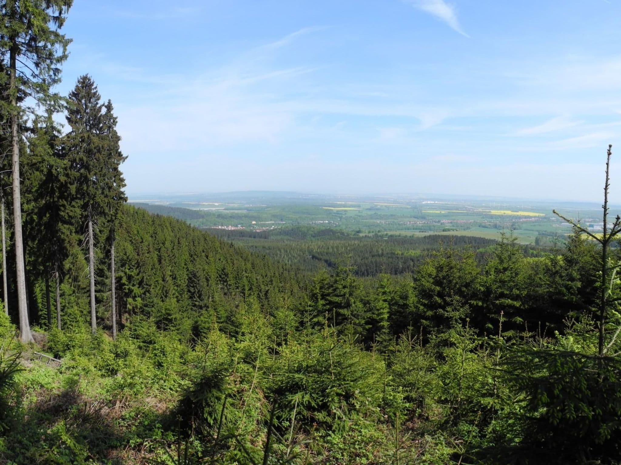 View