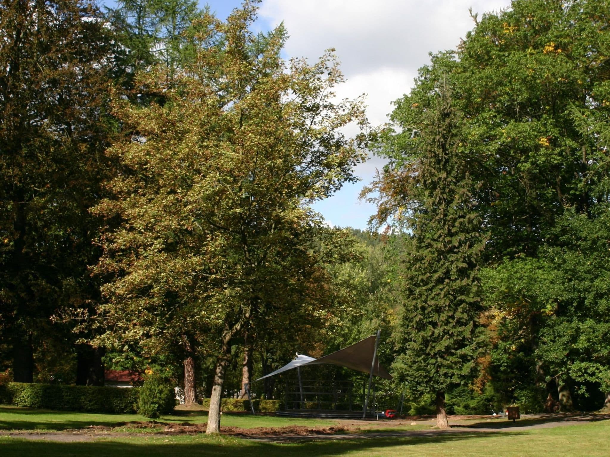 Gallery Image 12