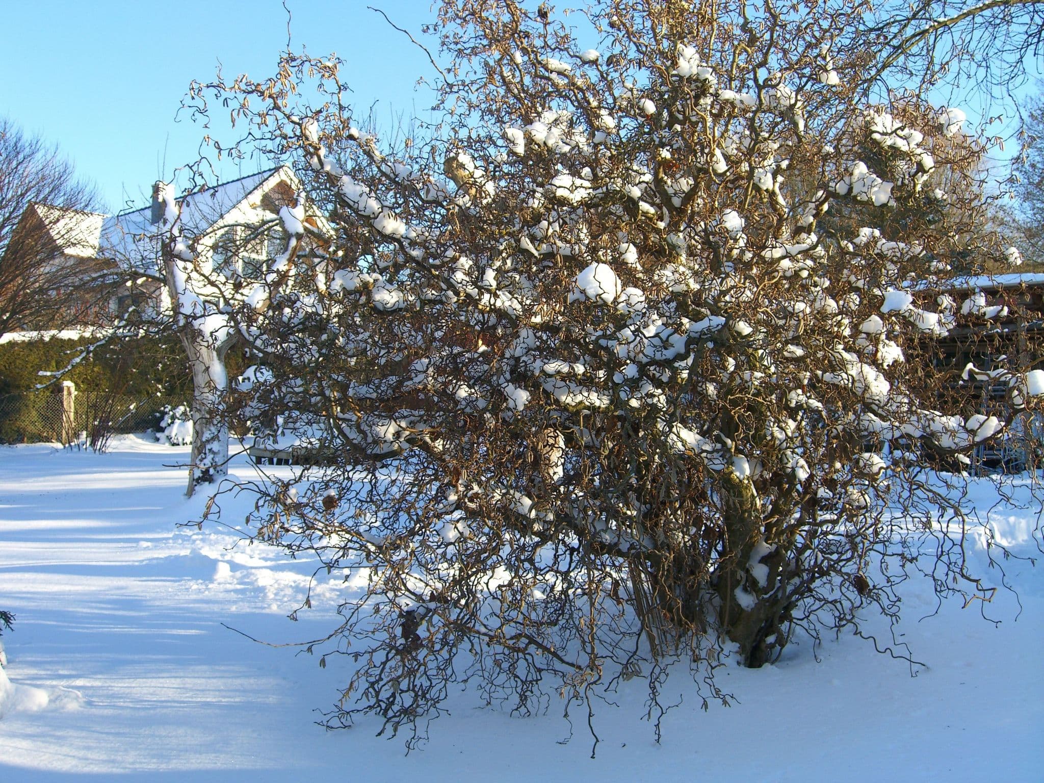 Gallery Image 23