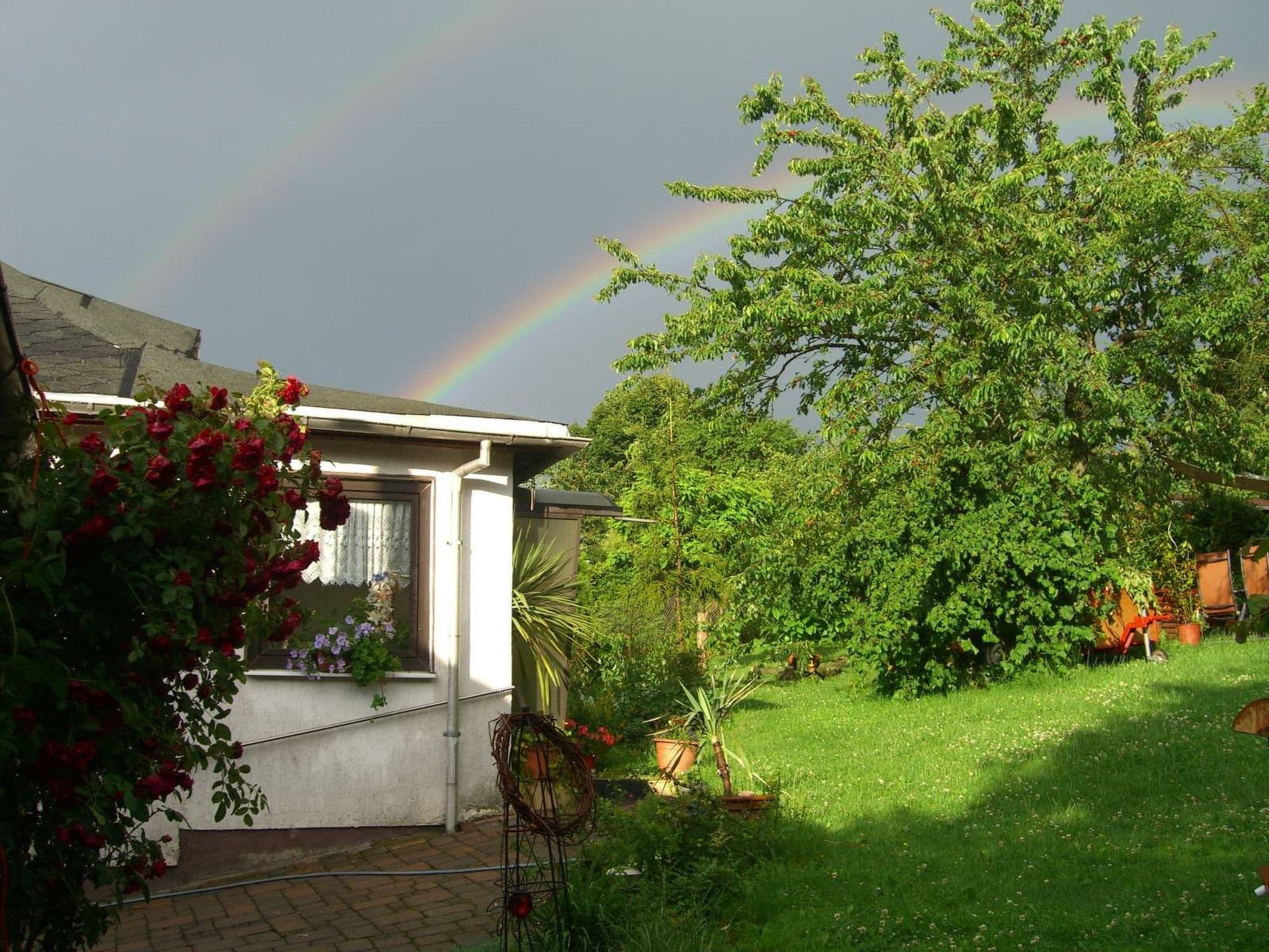 Gallery Image 20