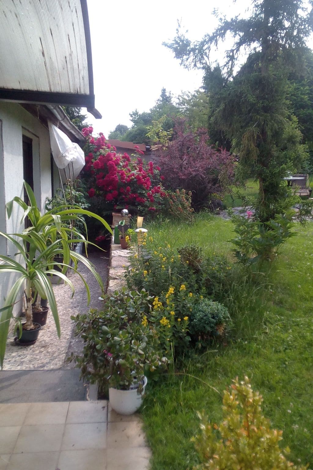 Gallery Image 19