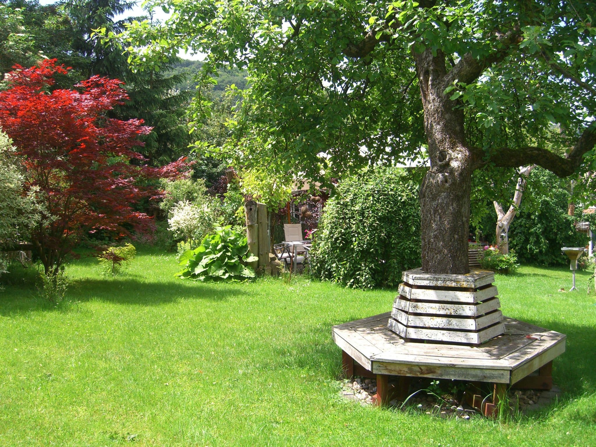 Gallery Image 18