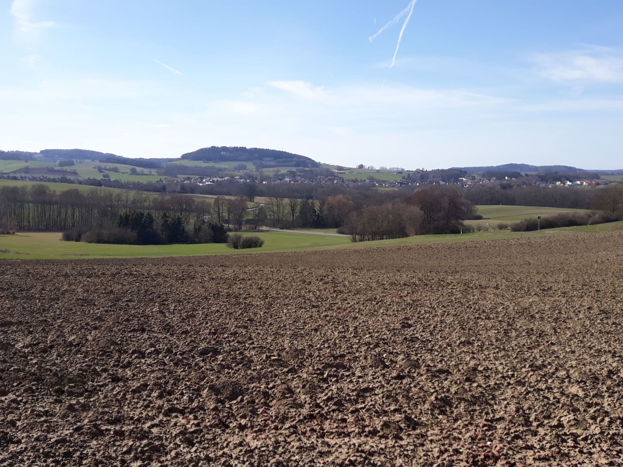 View