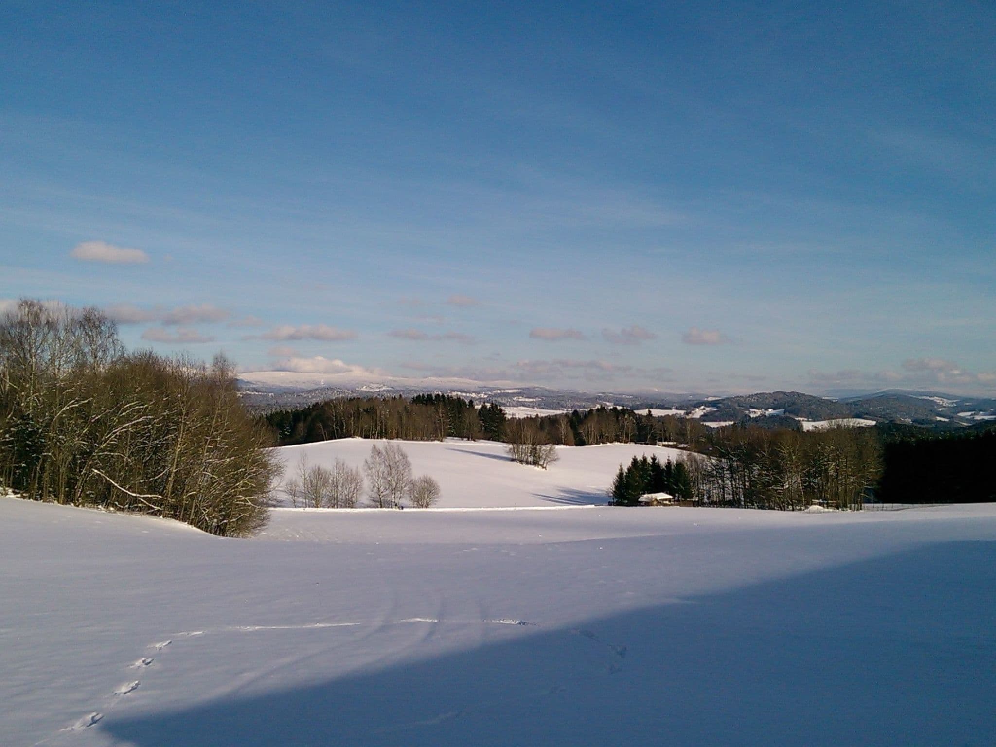 View