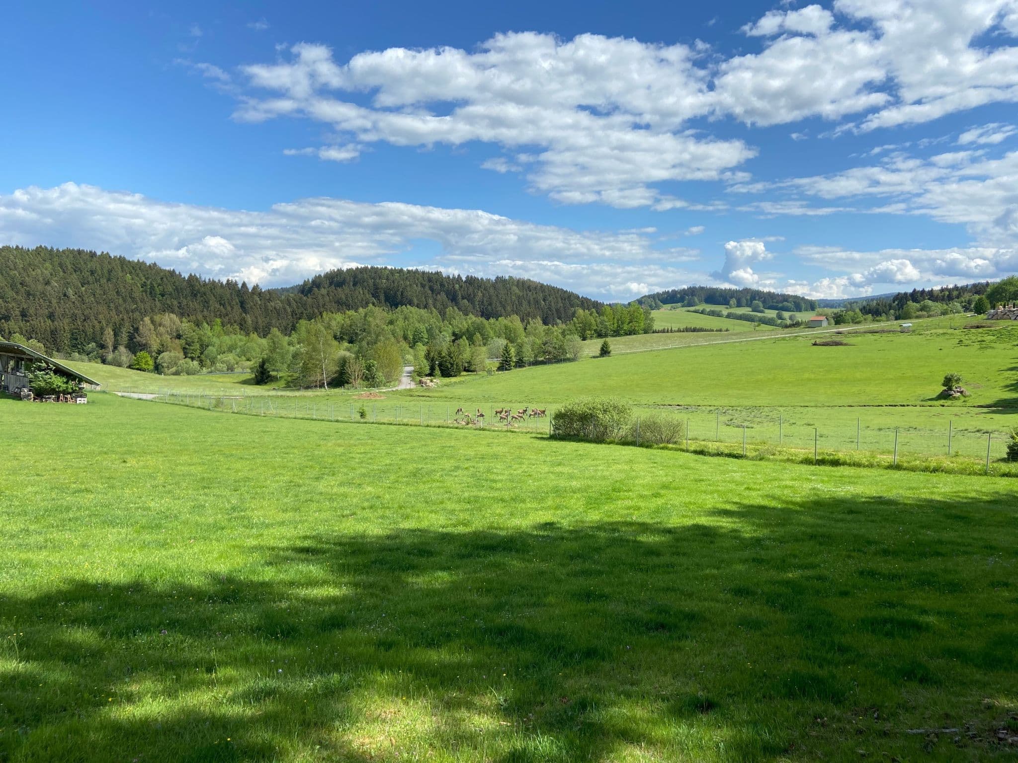 View