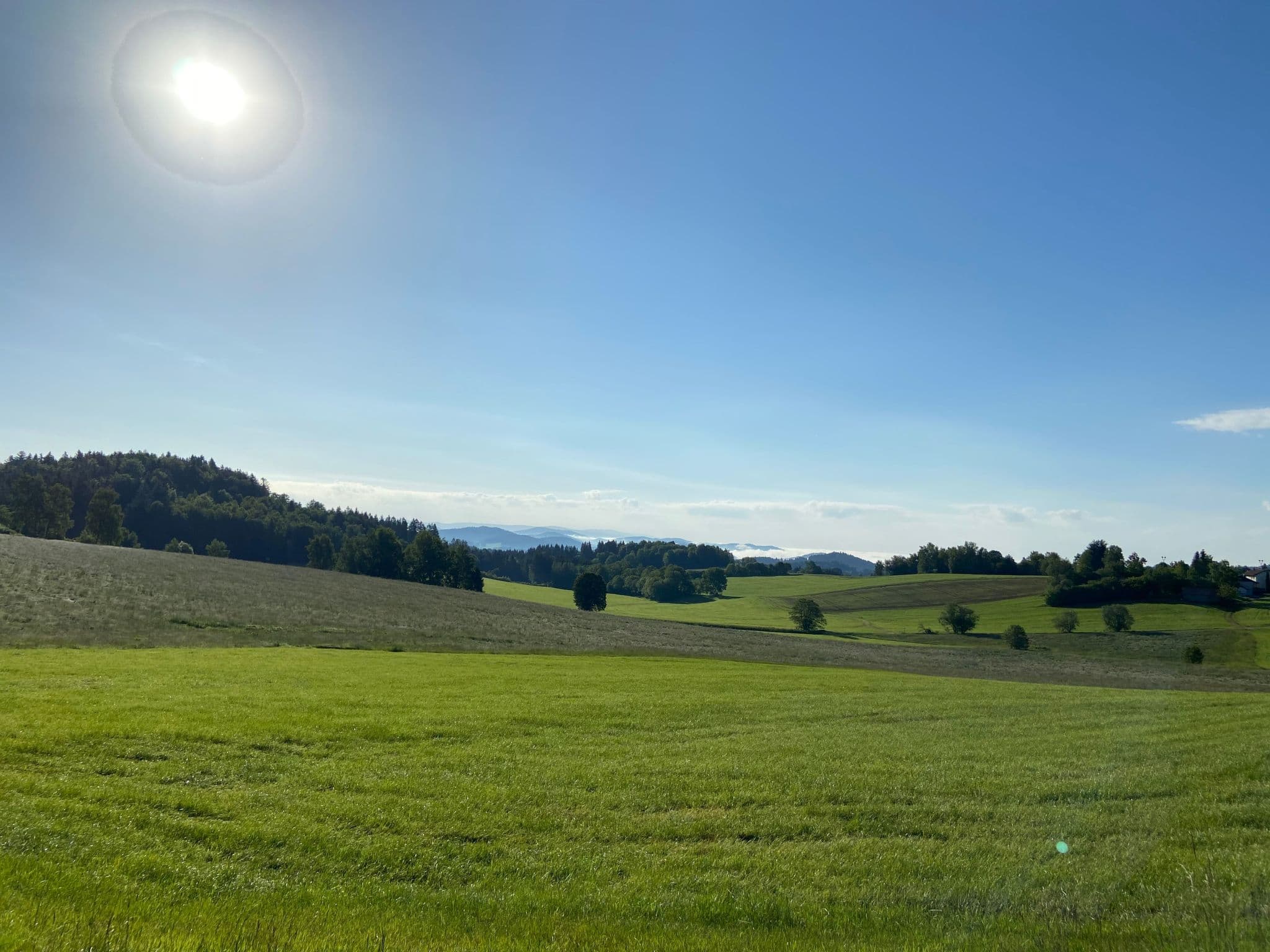 View