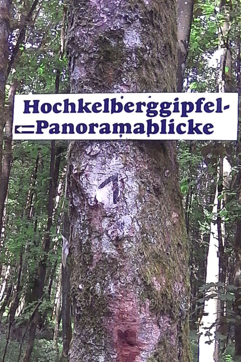 Gallery Image 28