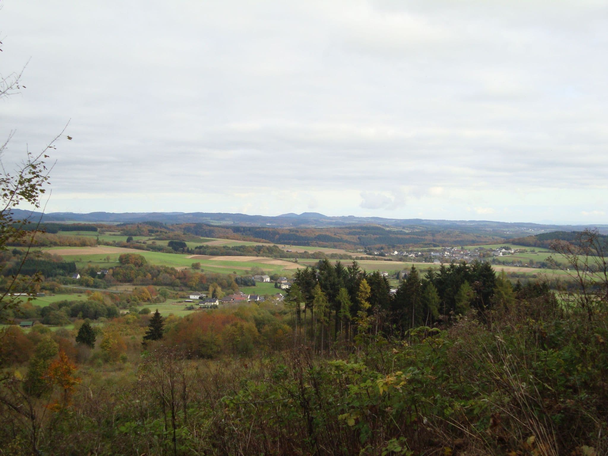 View