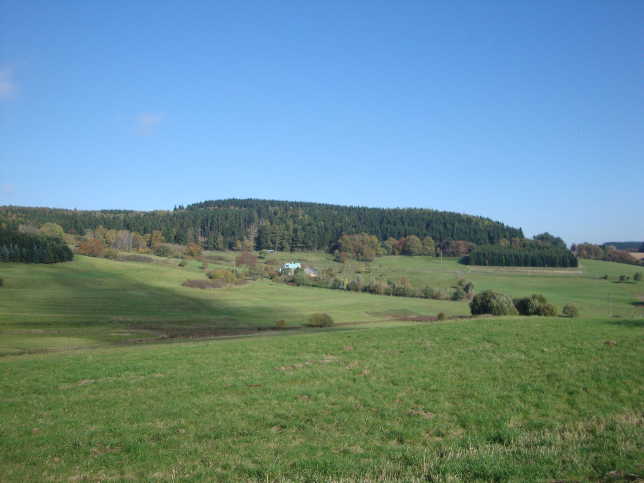 Gallery Image 26