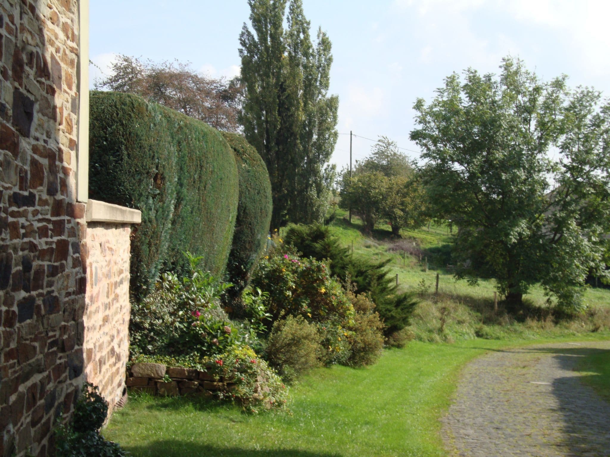 Gallery Image 25