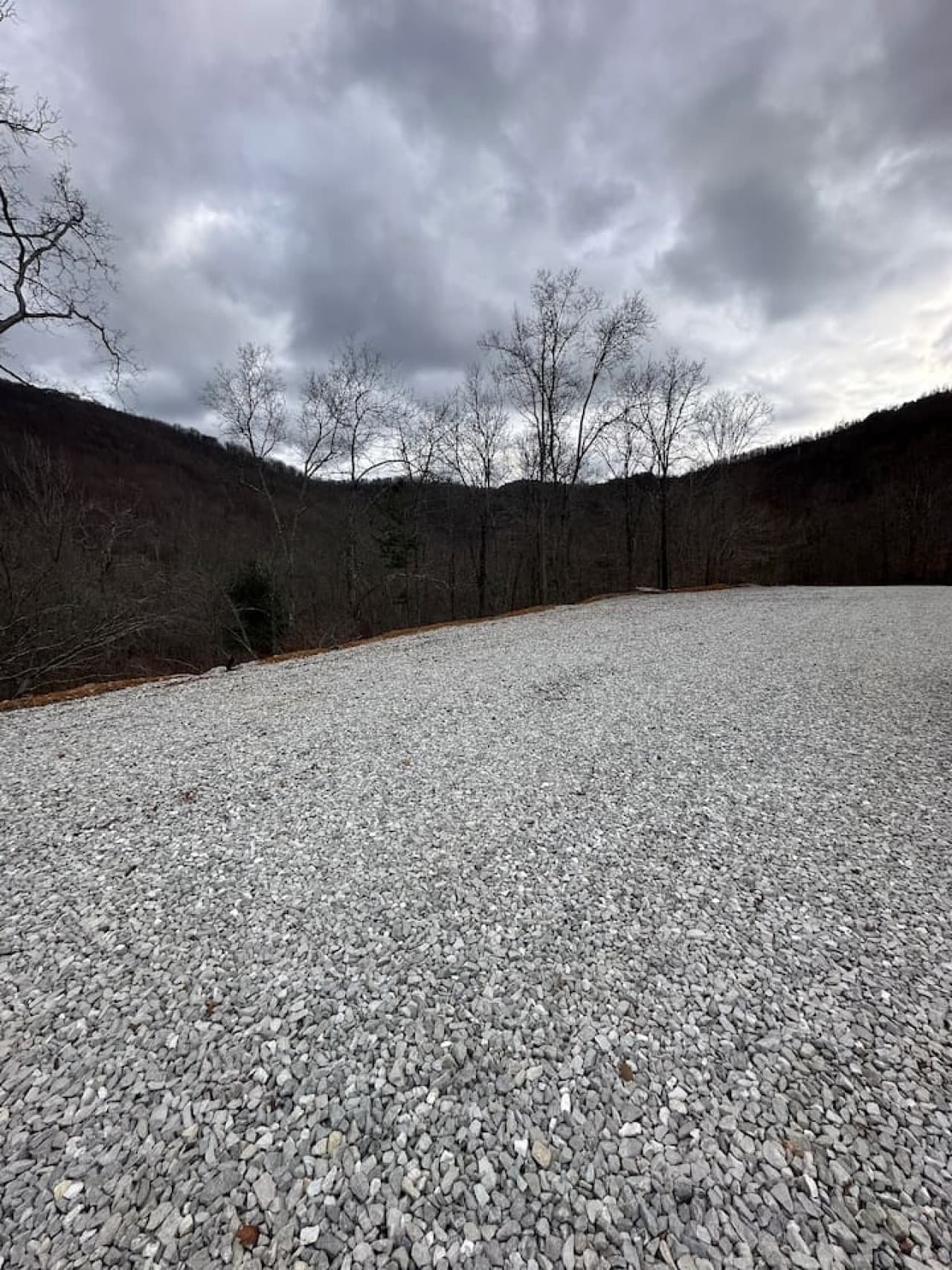 Gallery Image 62