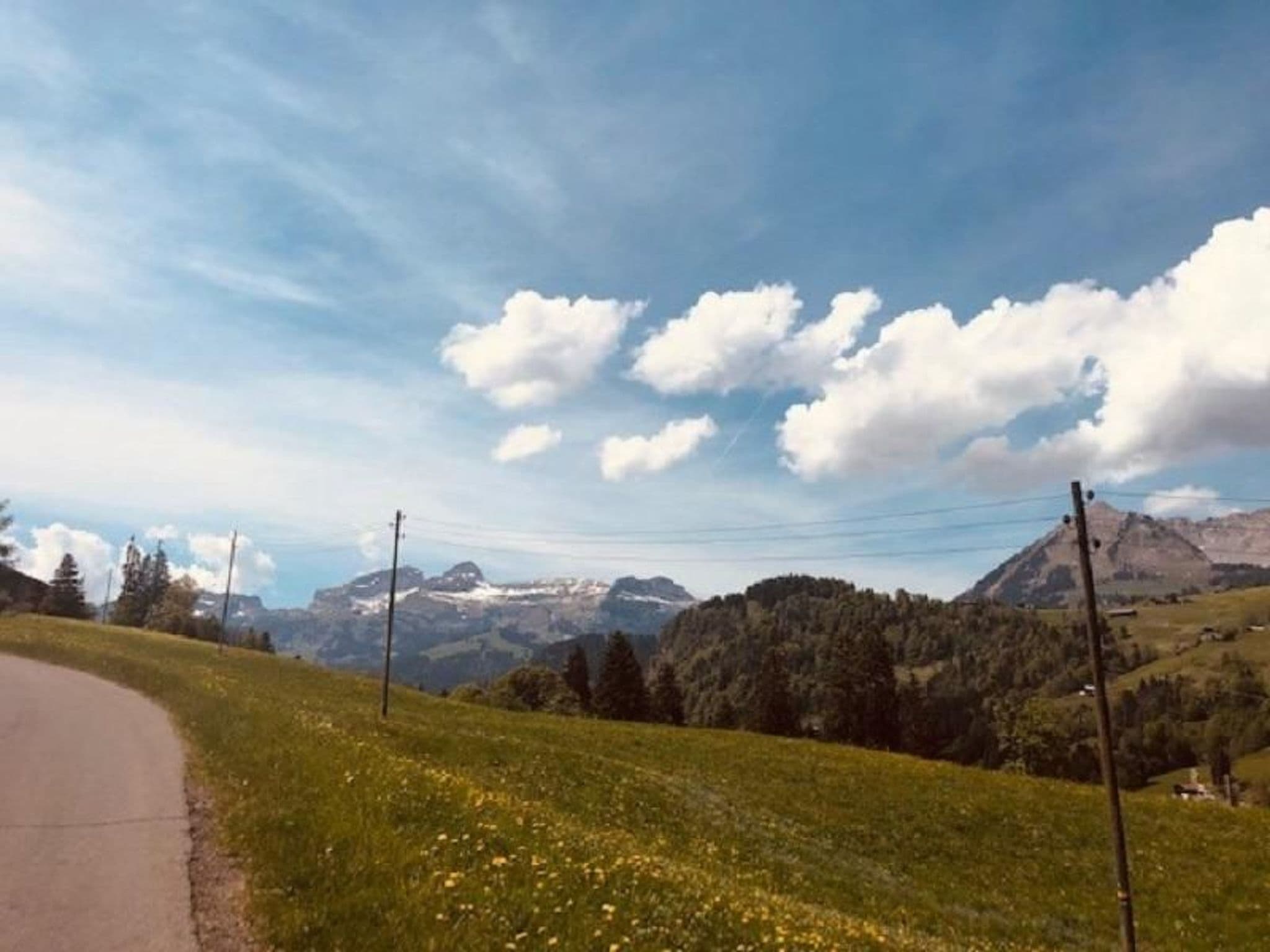 View