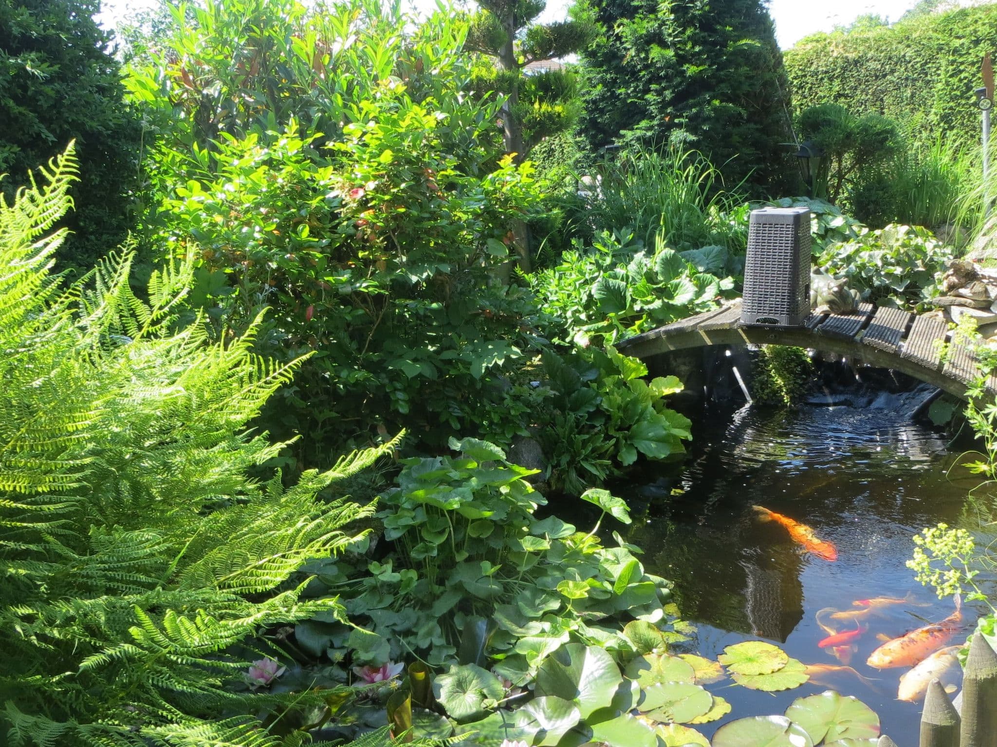 Gallery Image 19