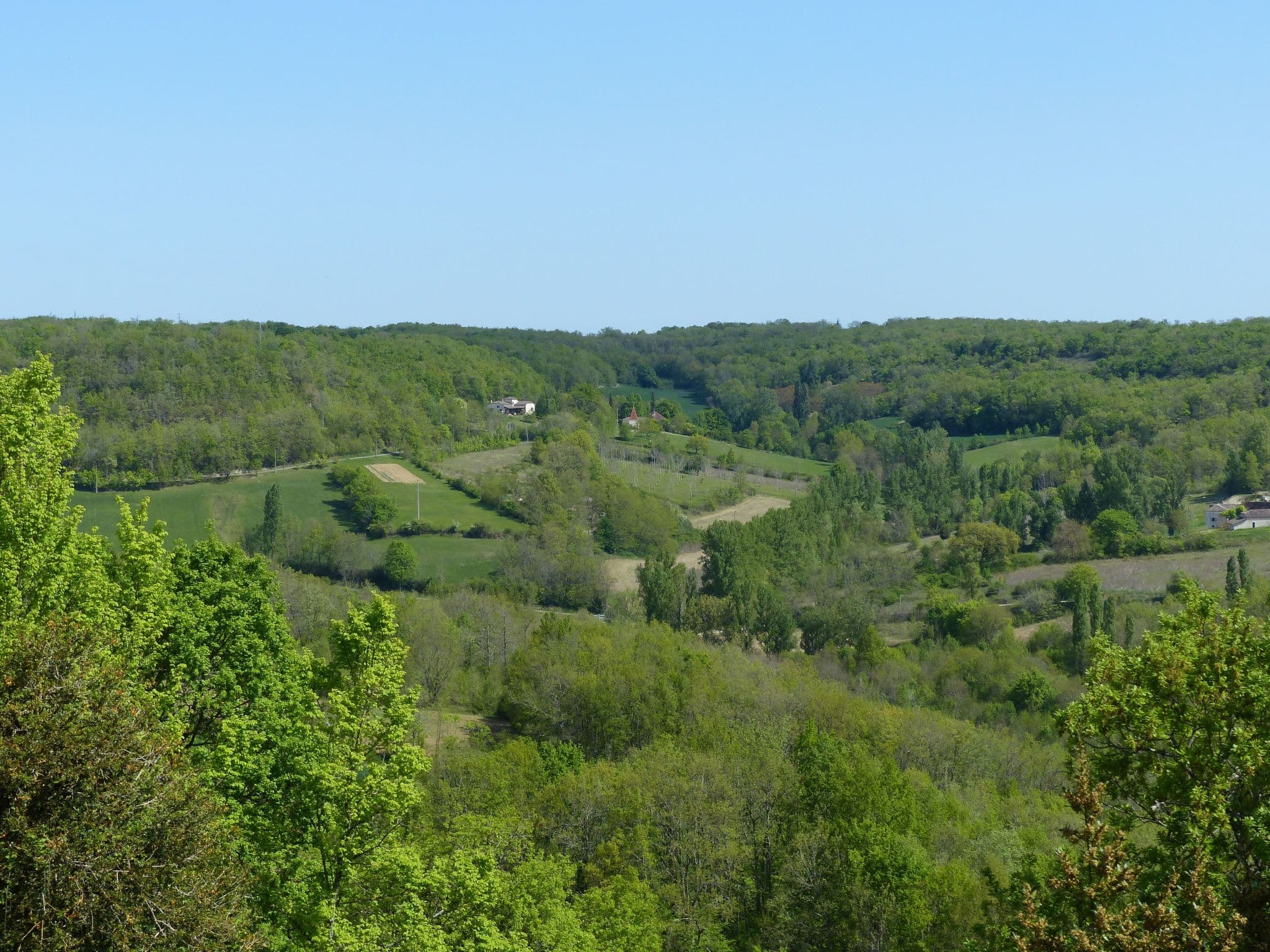 View