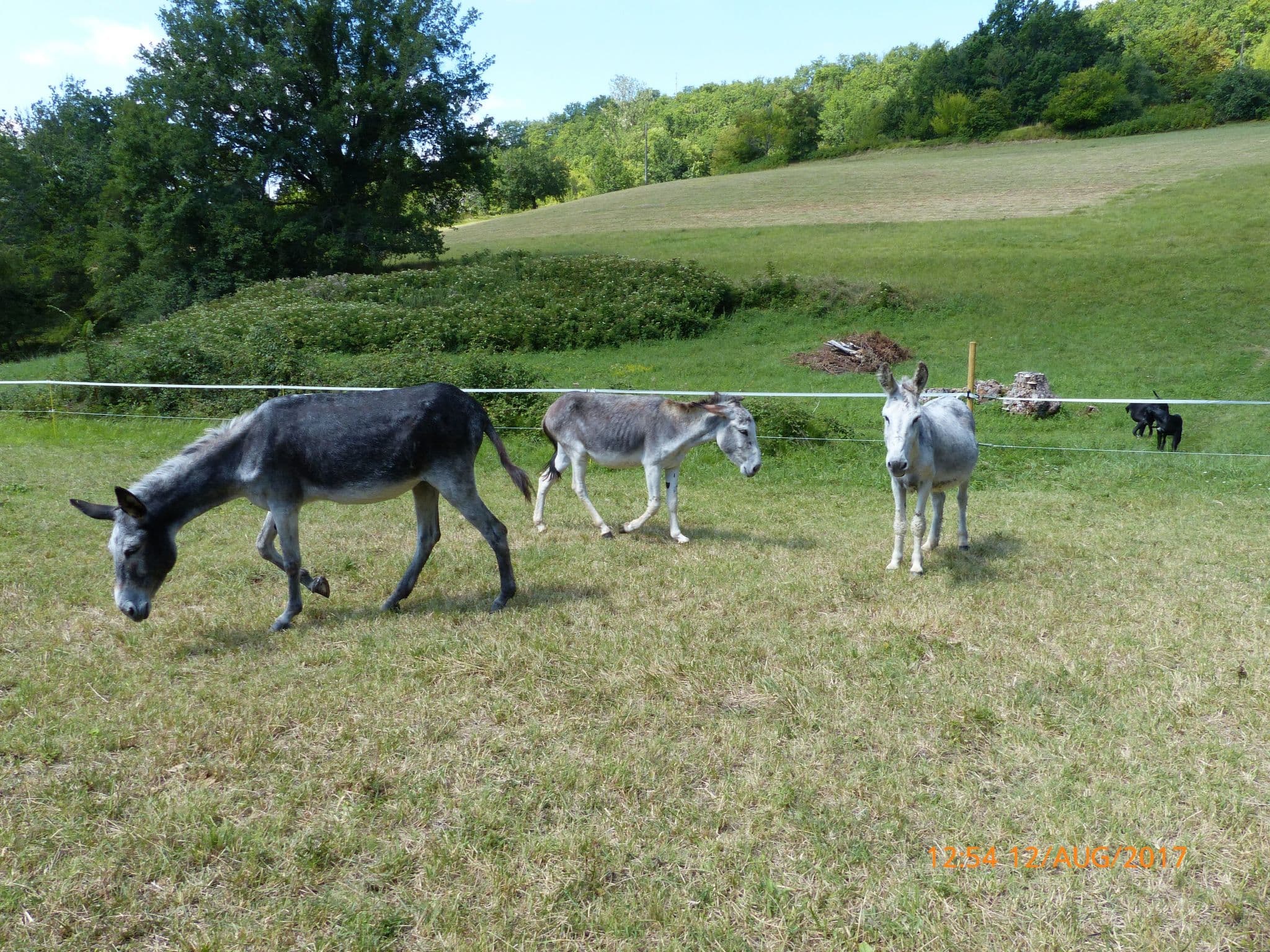 Gallery Image 17