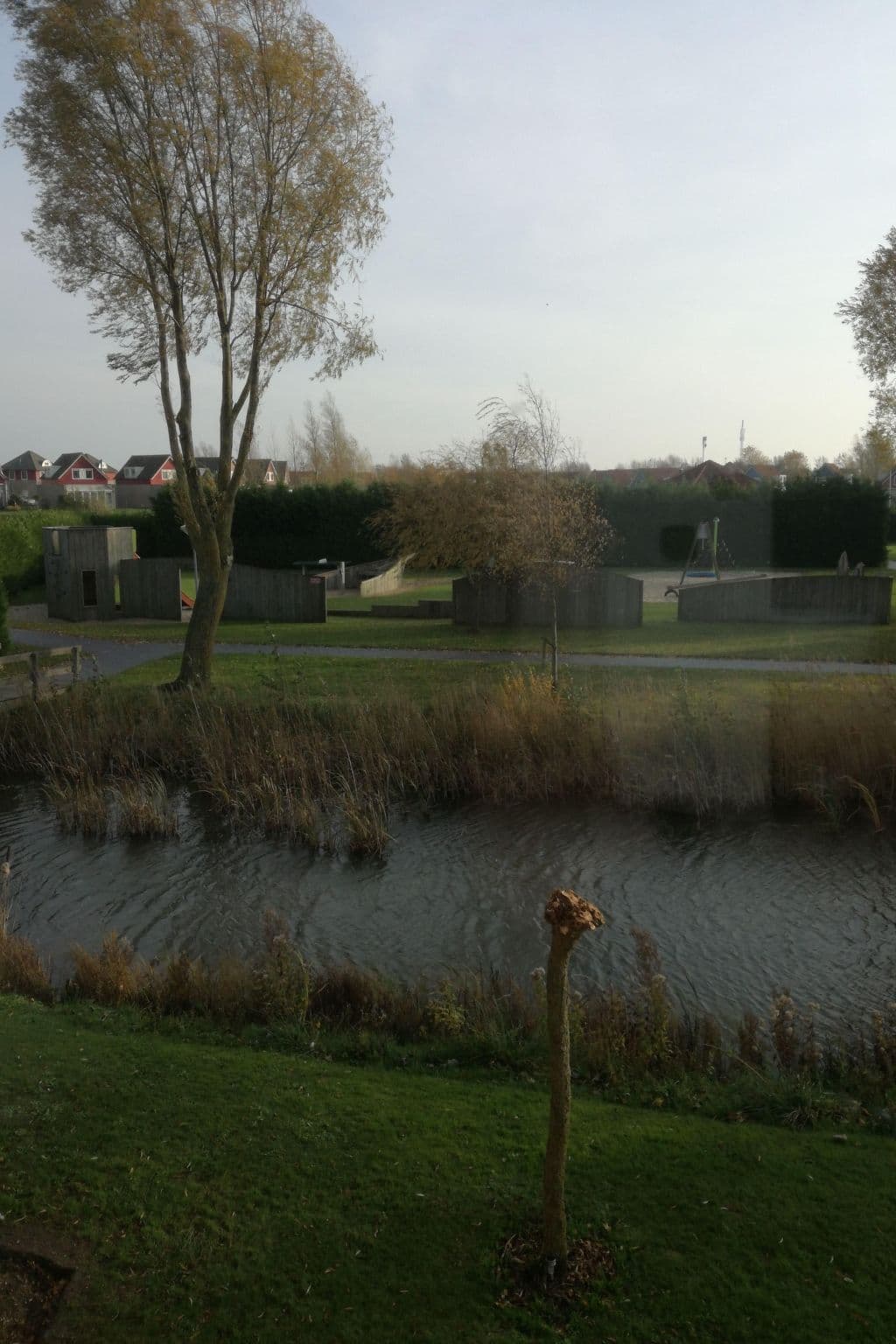 Gallery Image 28