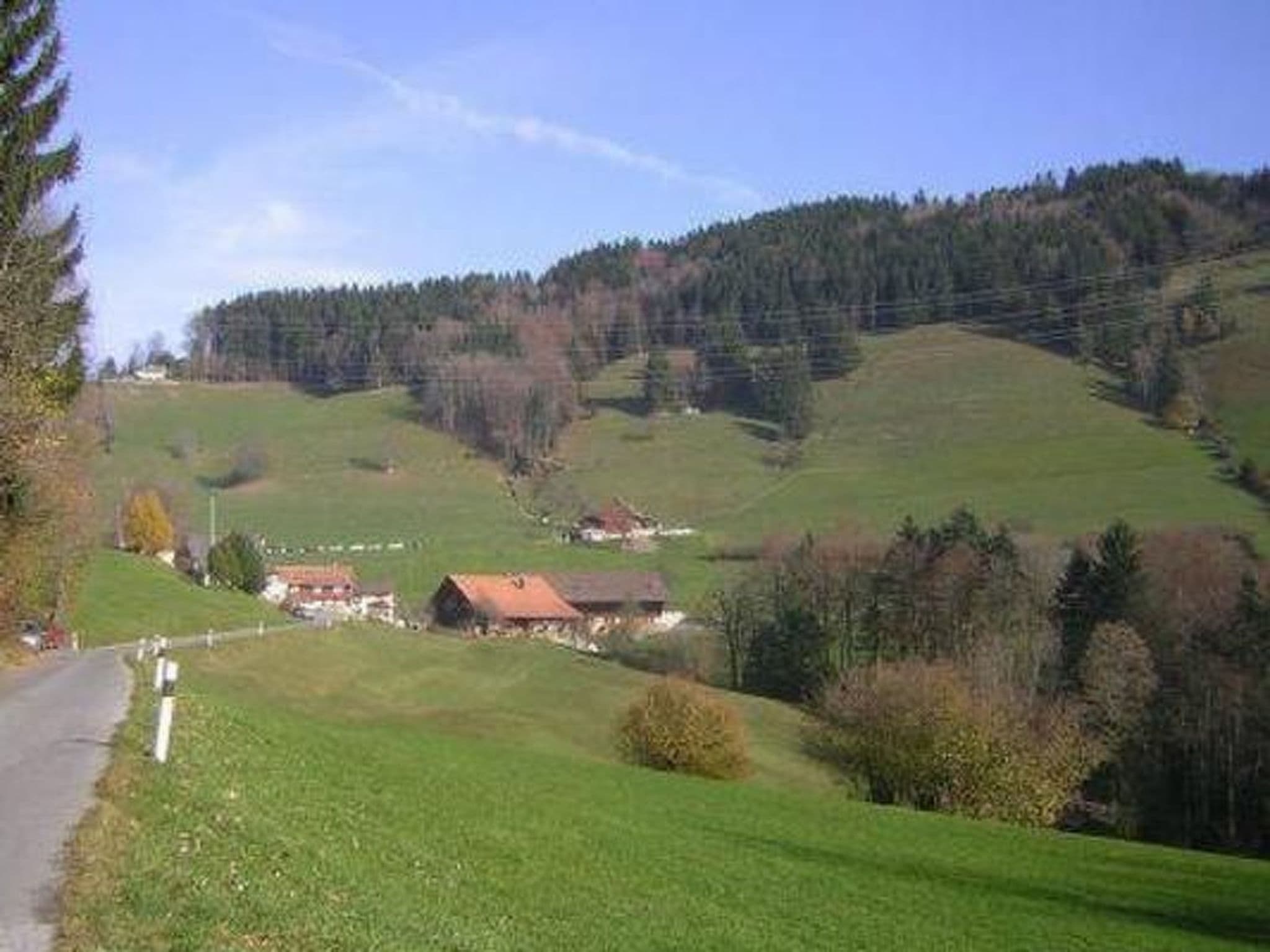 Gallery Image 25