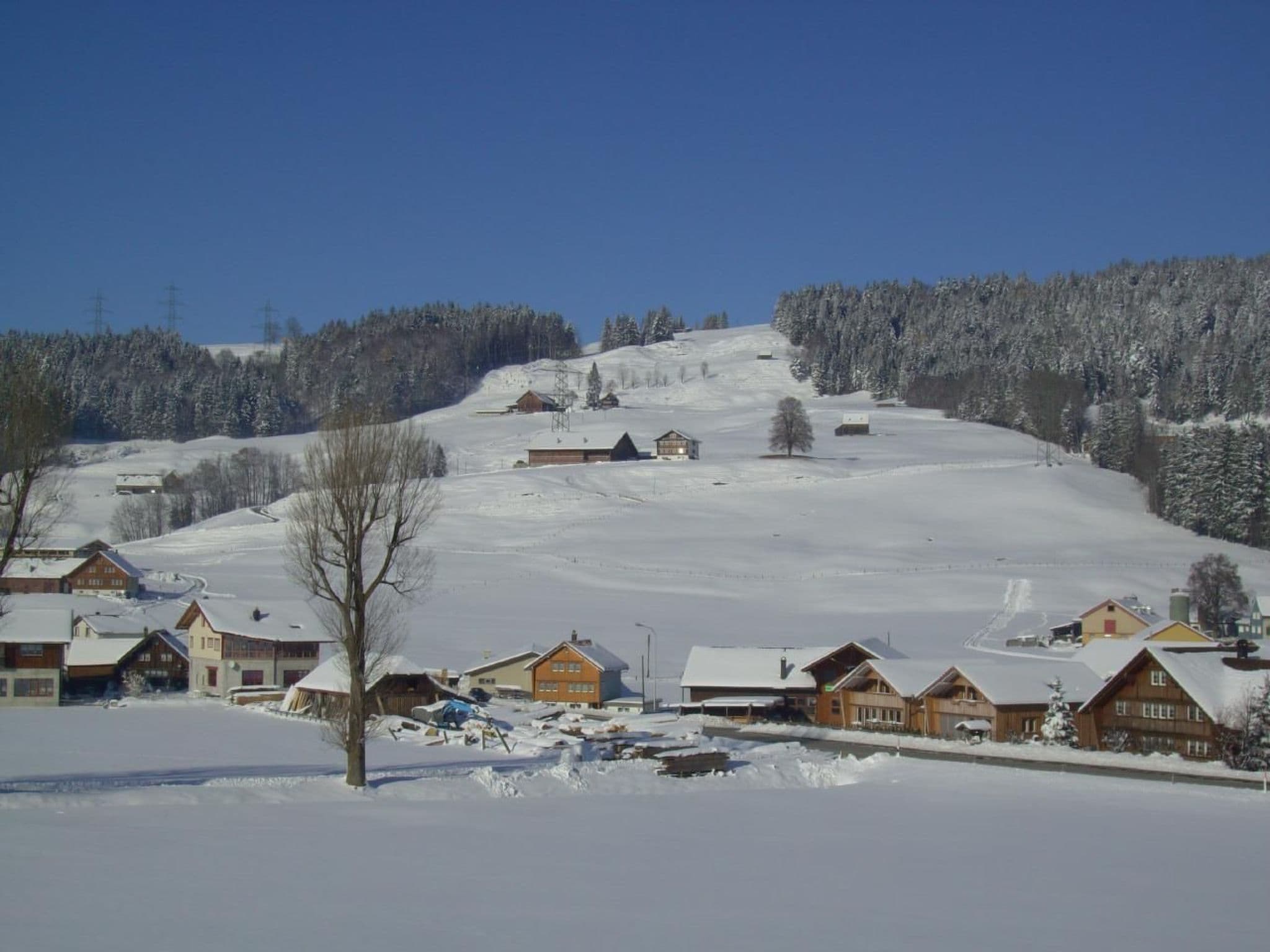 Gallery Image 21