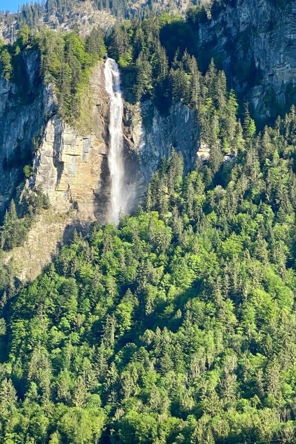 Gallery Image 39