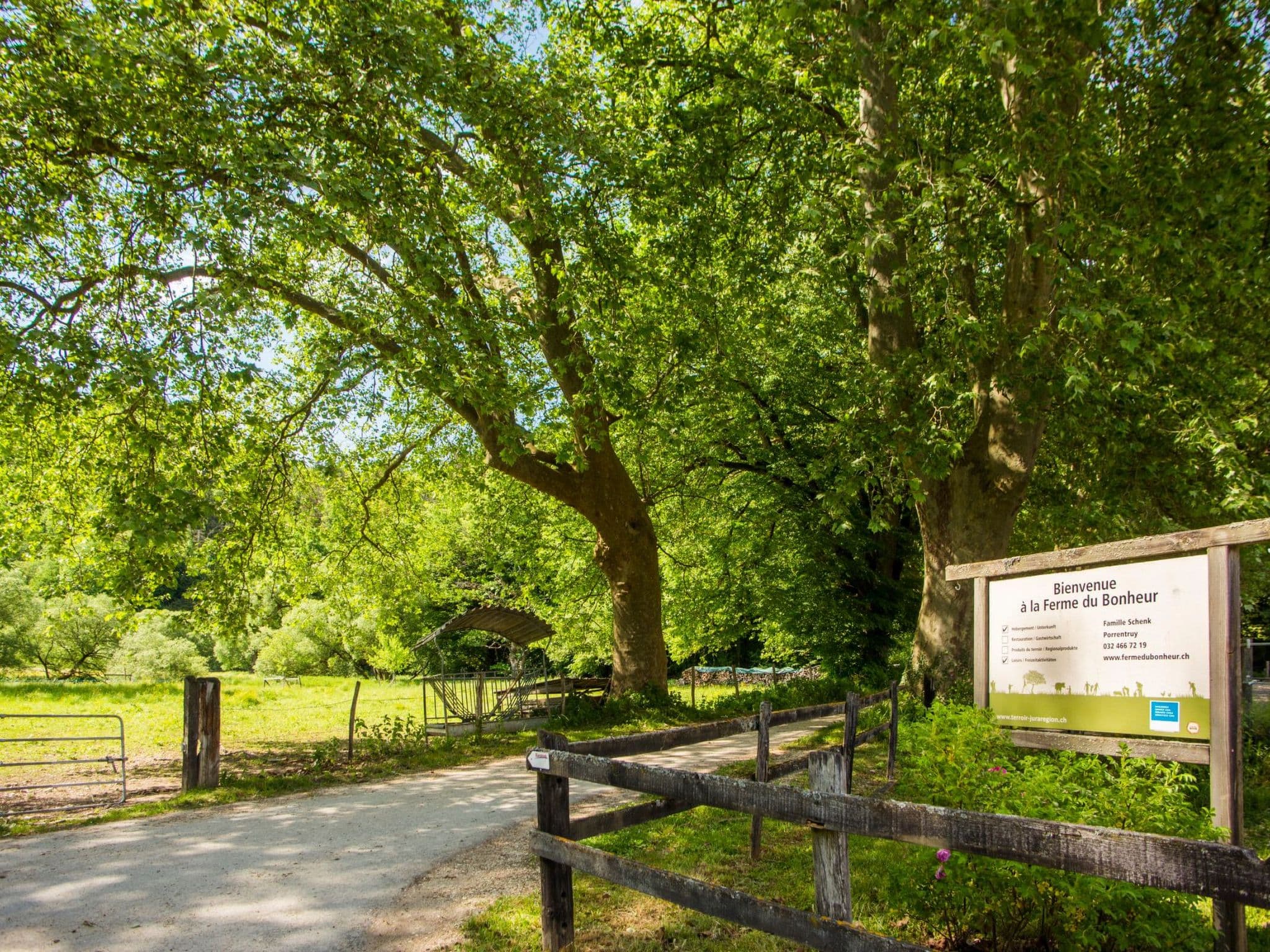 Gallery Image 15