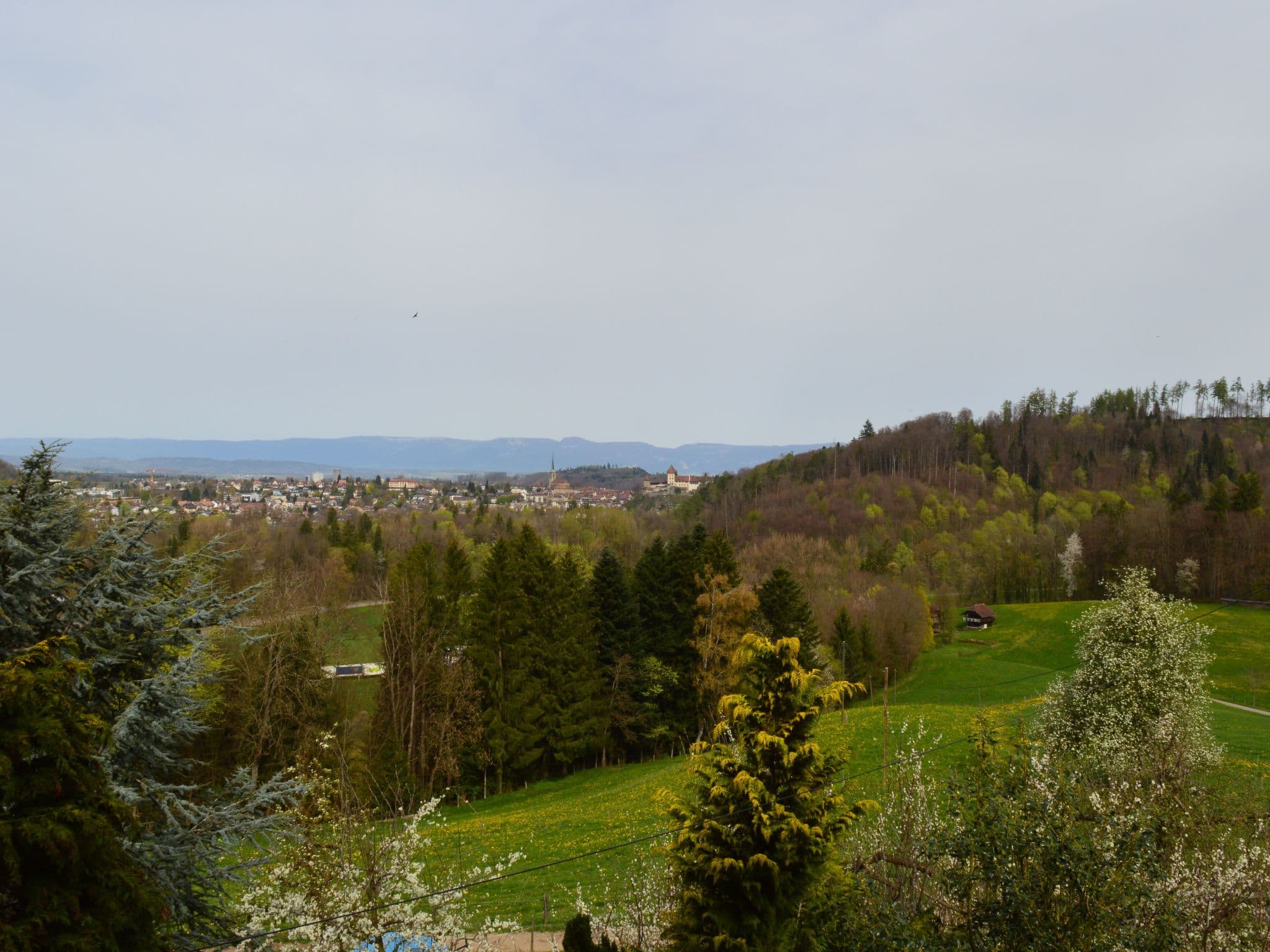 View