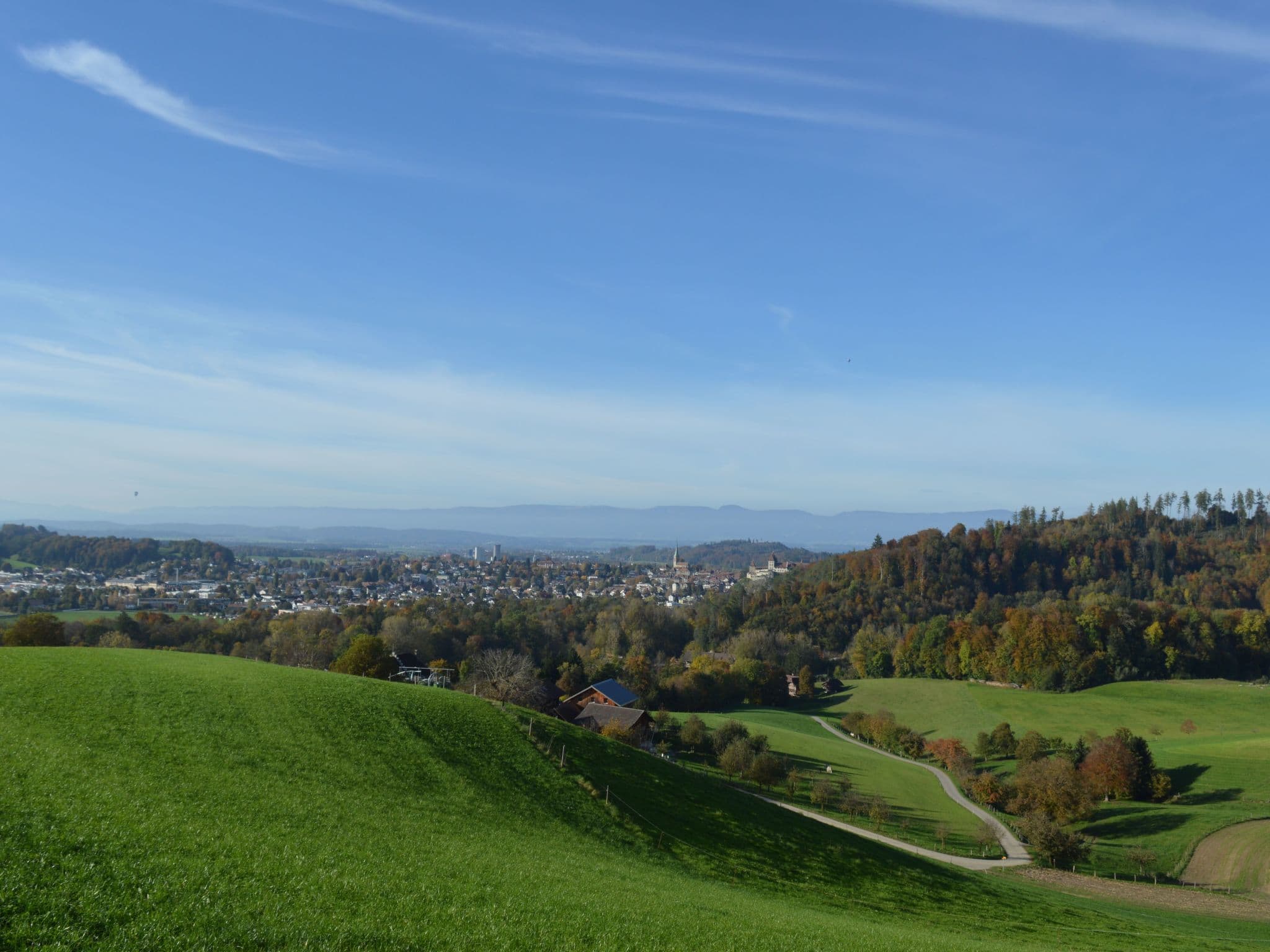 View