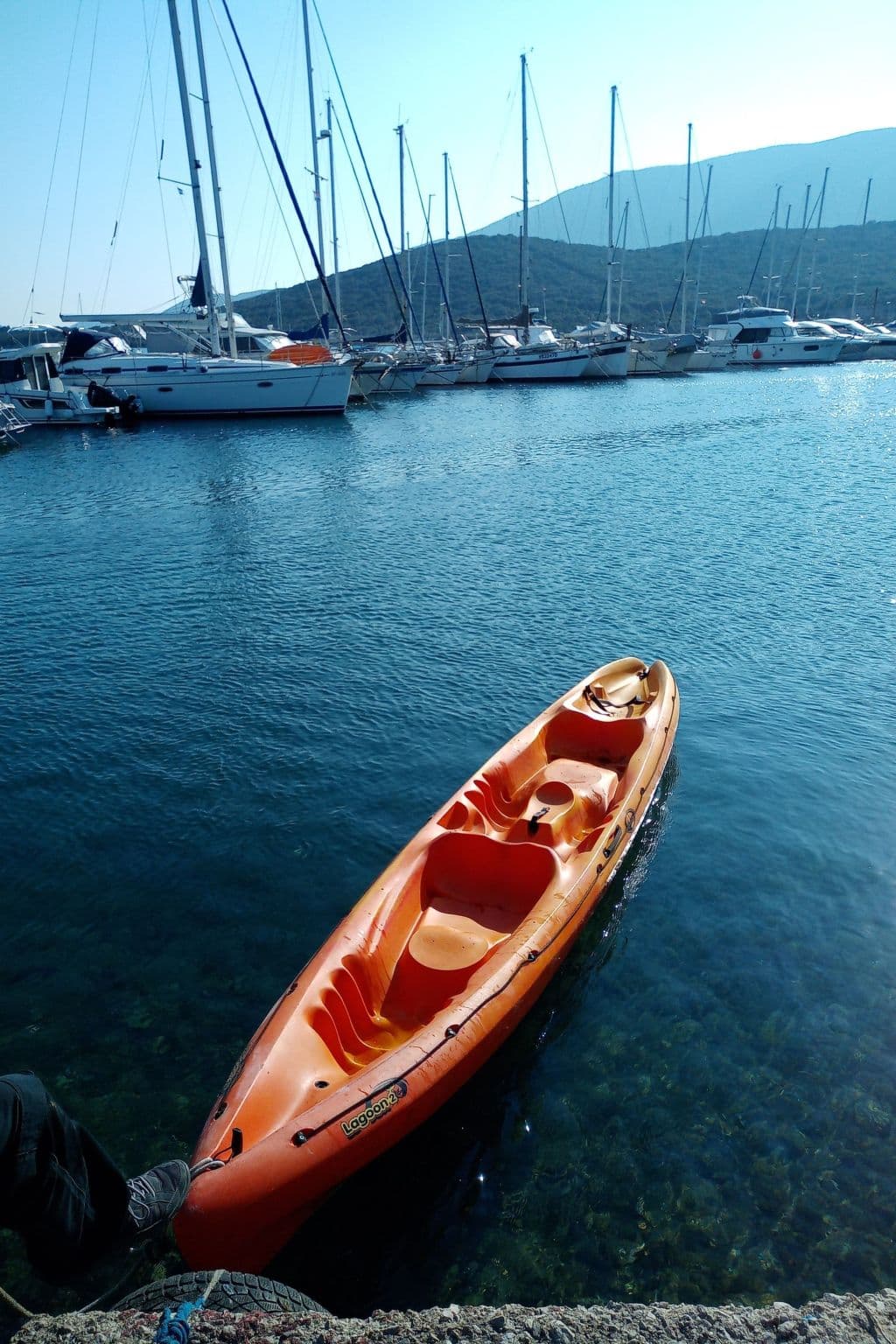 Gallery Image 7
