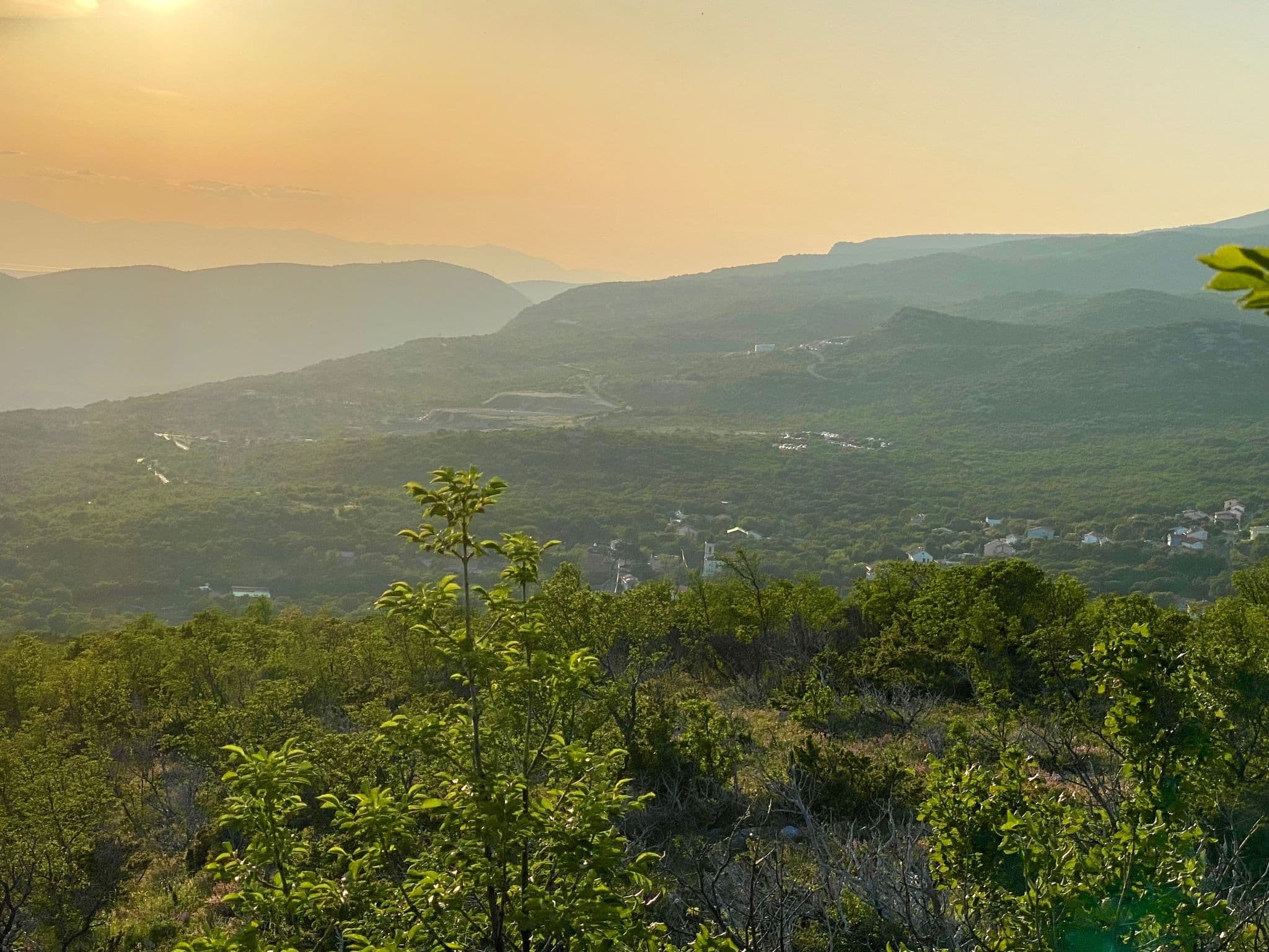 View