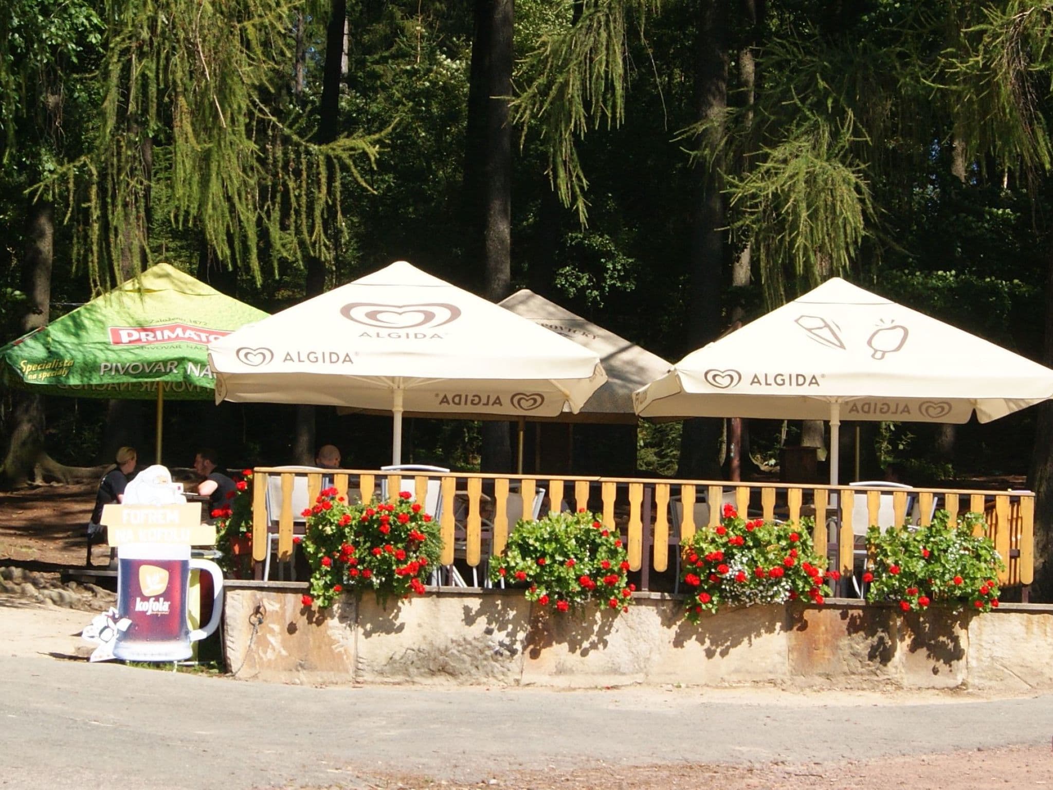 Terrace
