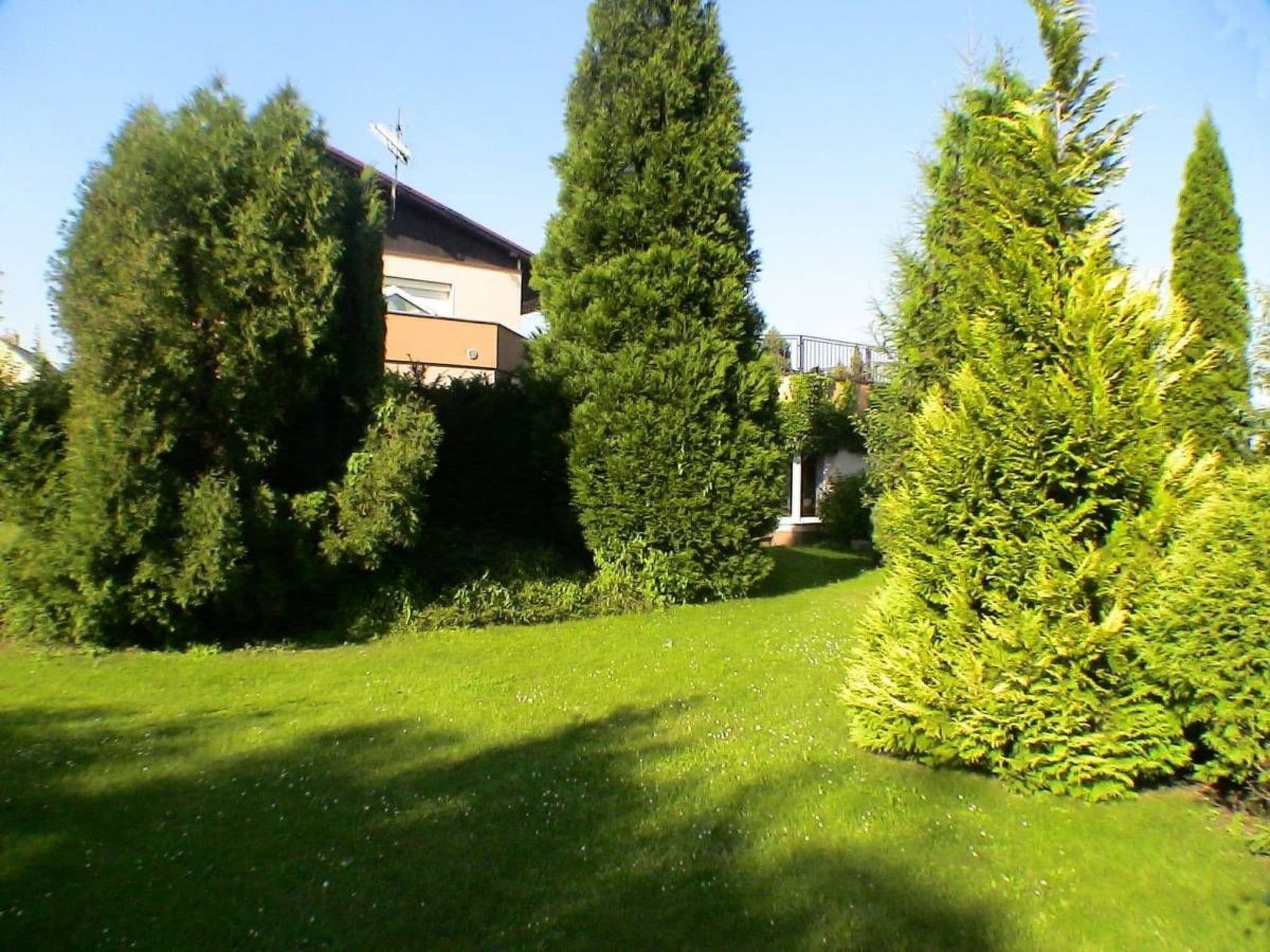 Gallery Image 26