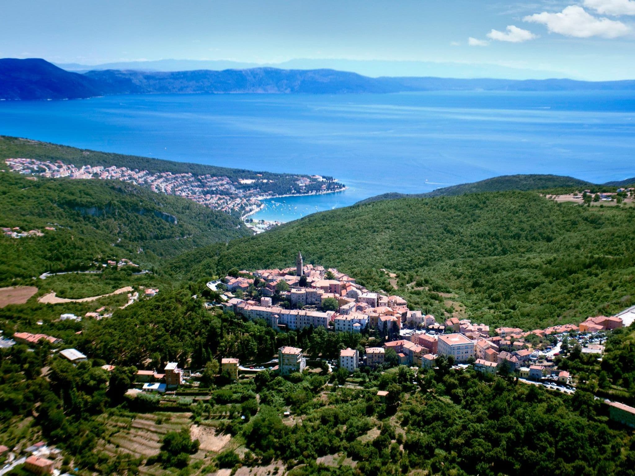 View