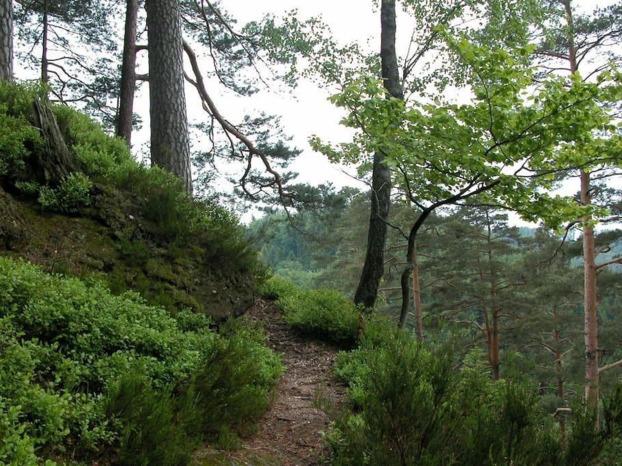 Gallery Image 32