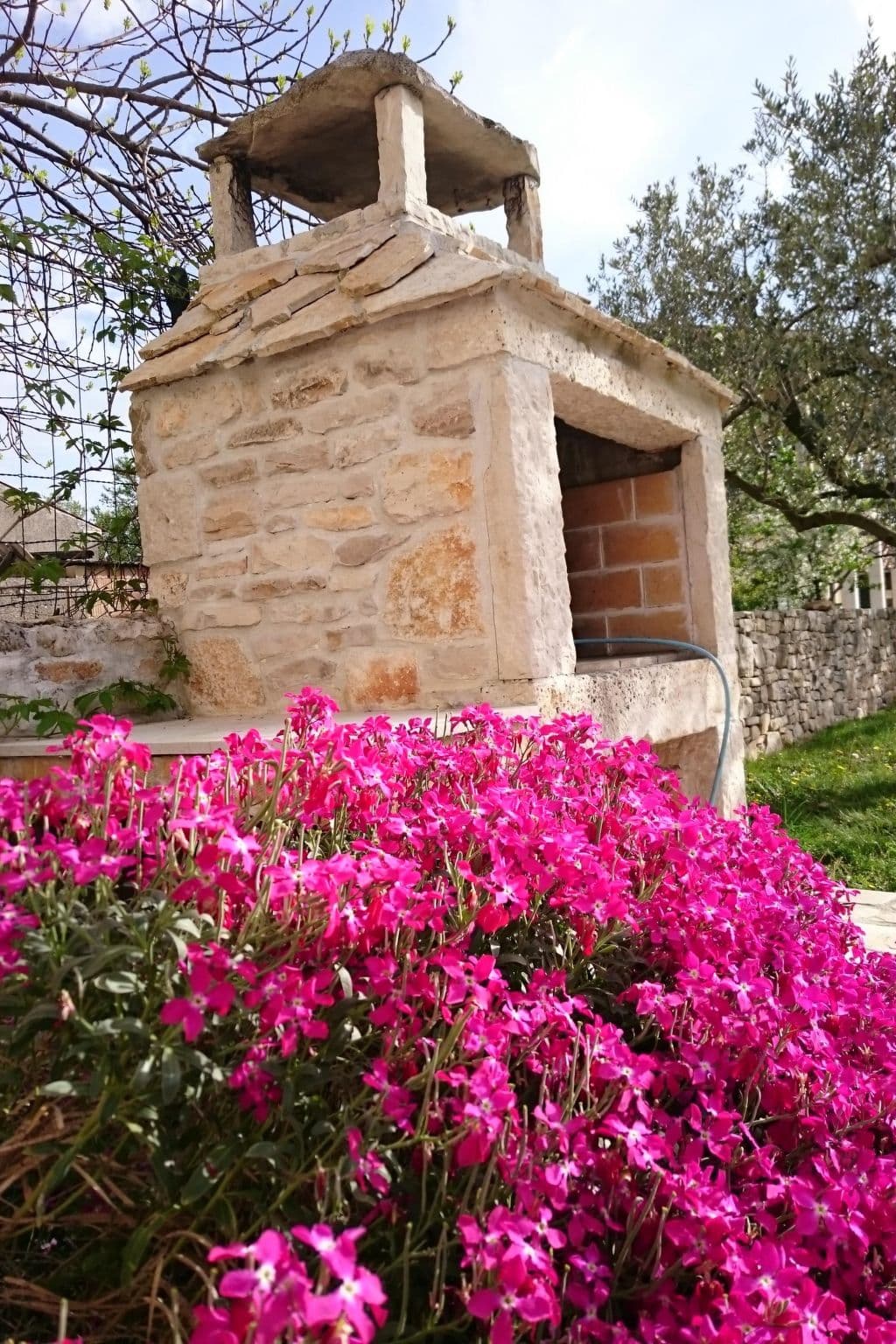 Gallery Image 24