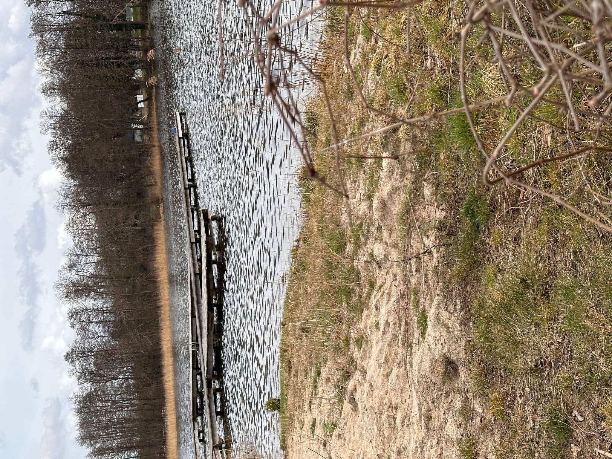 Gallery Image 26