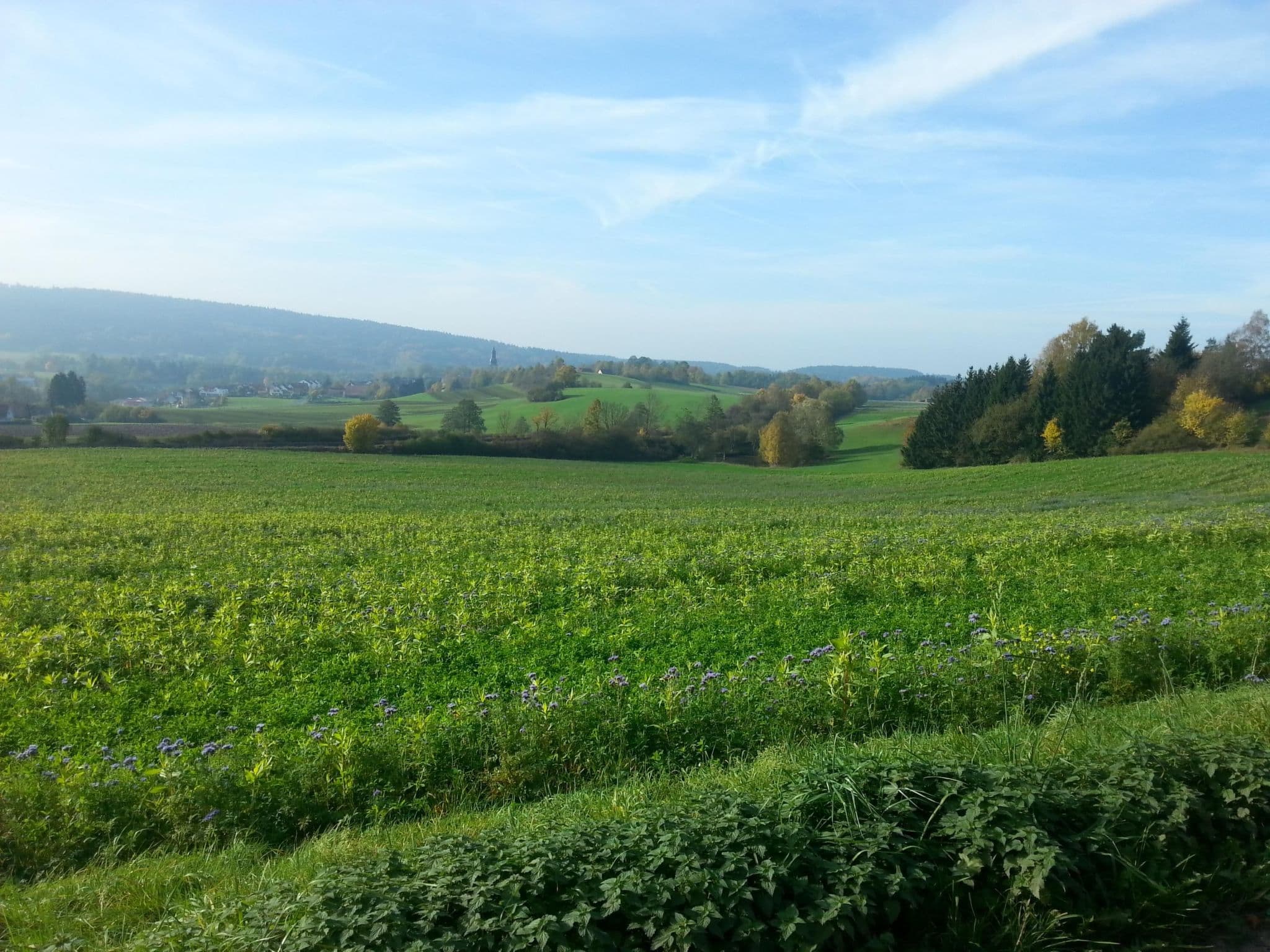 View