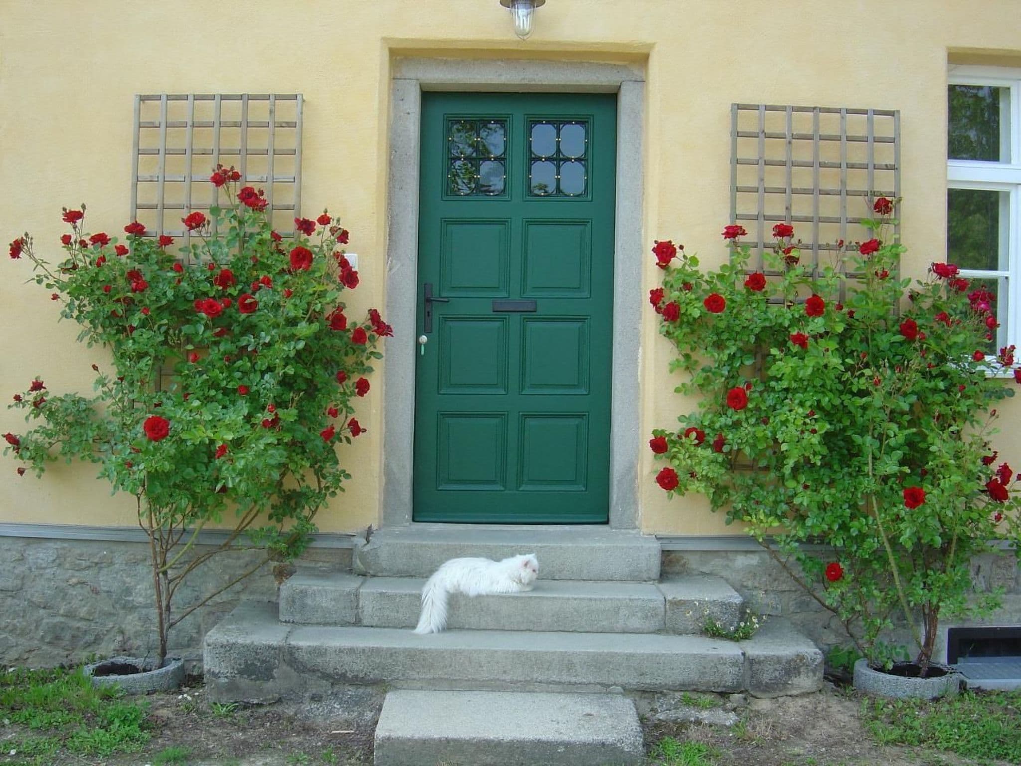 Gallery Image 17