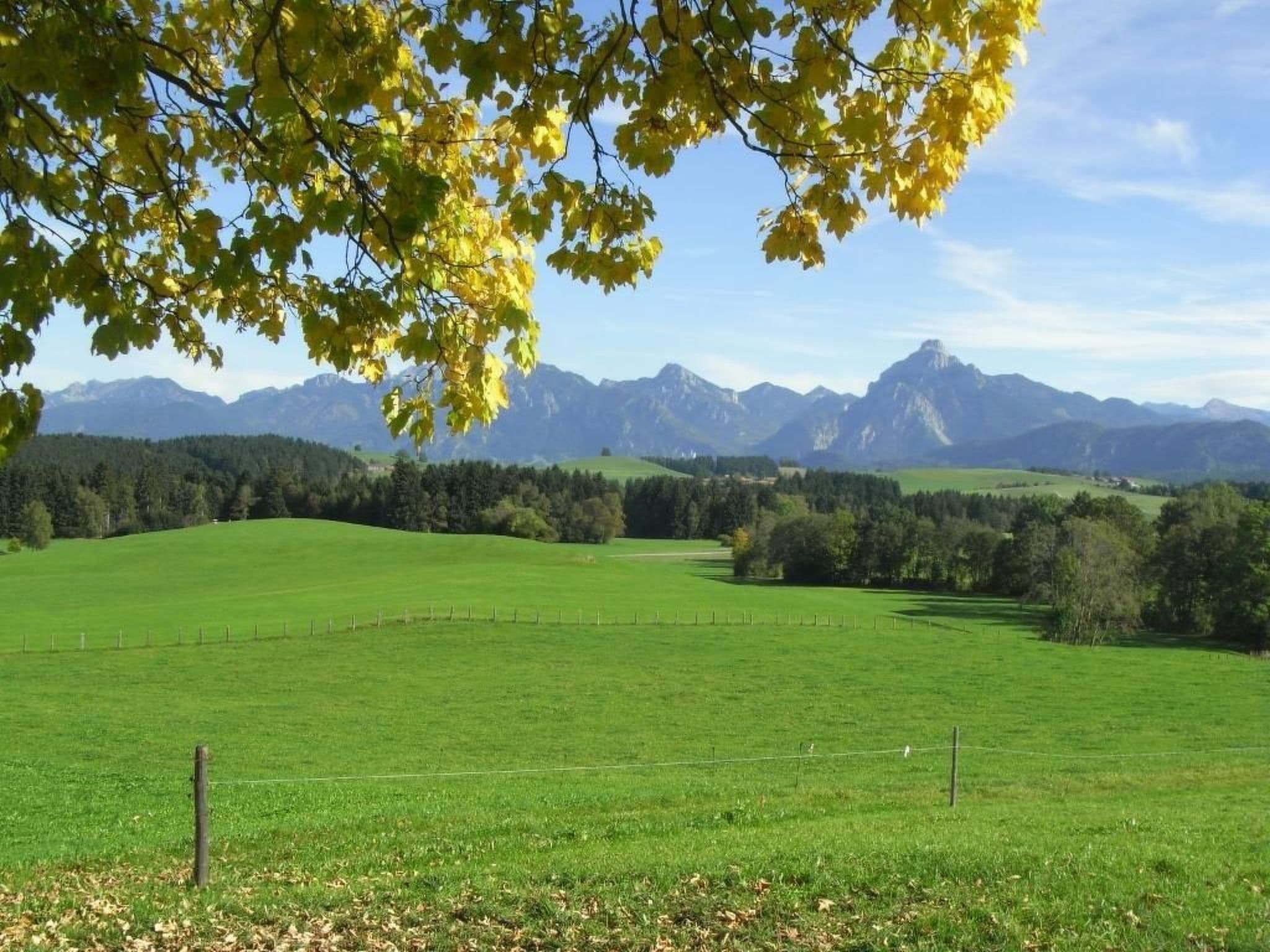 View