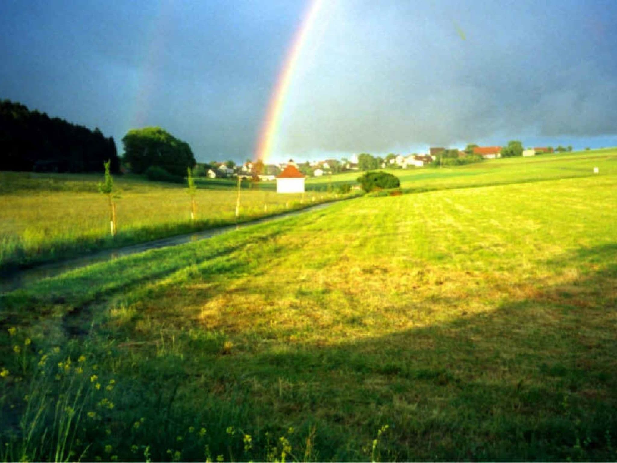 Gallery Image 19