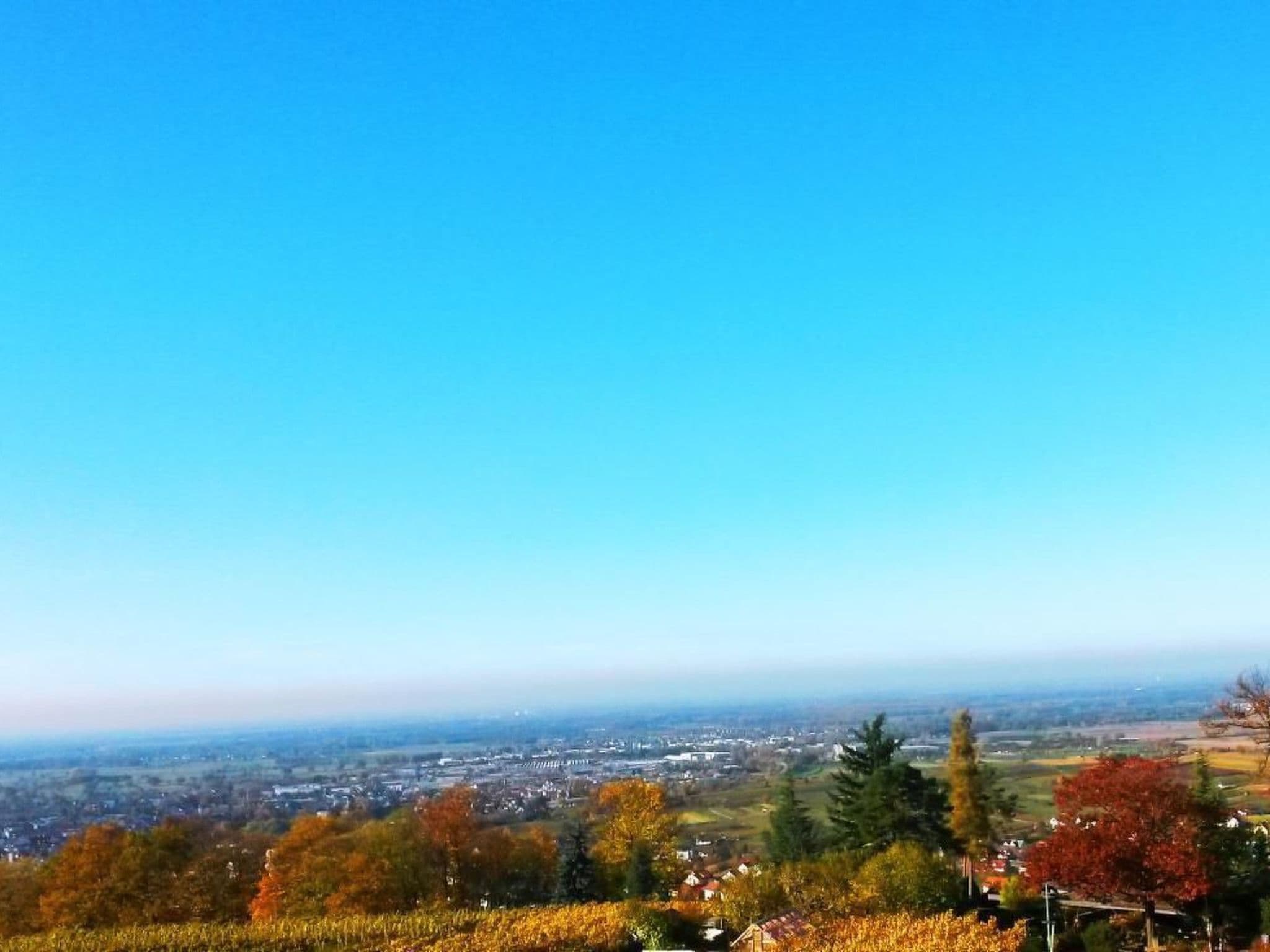 View
