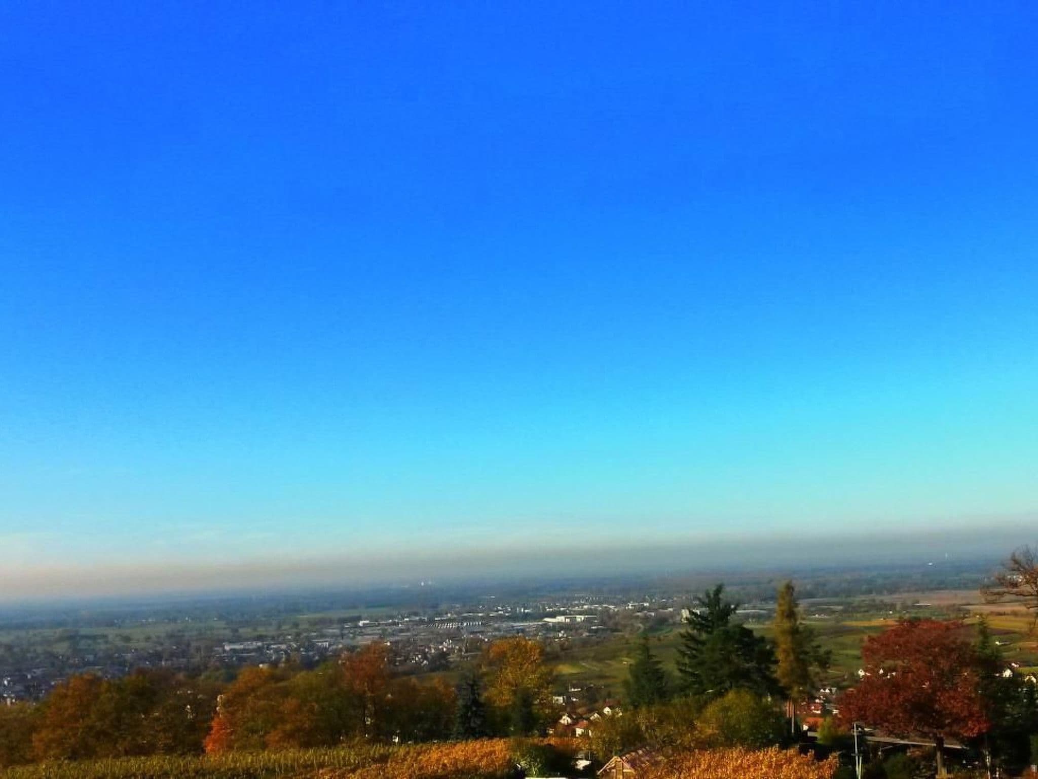 View