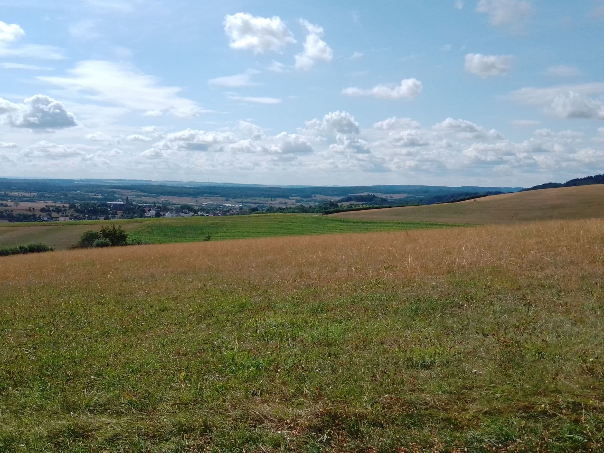View