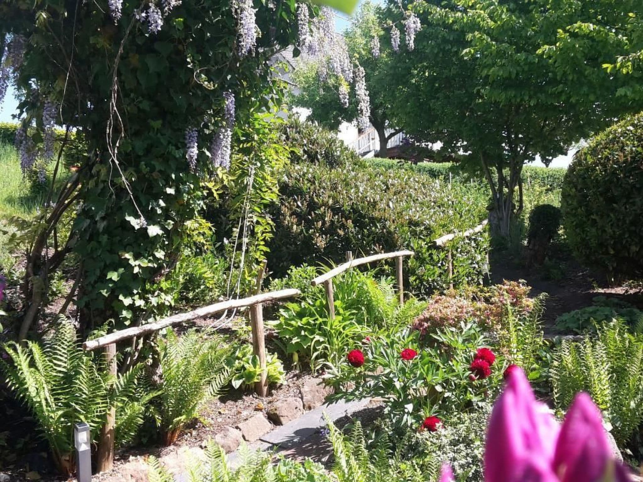 Gallery Image 38