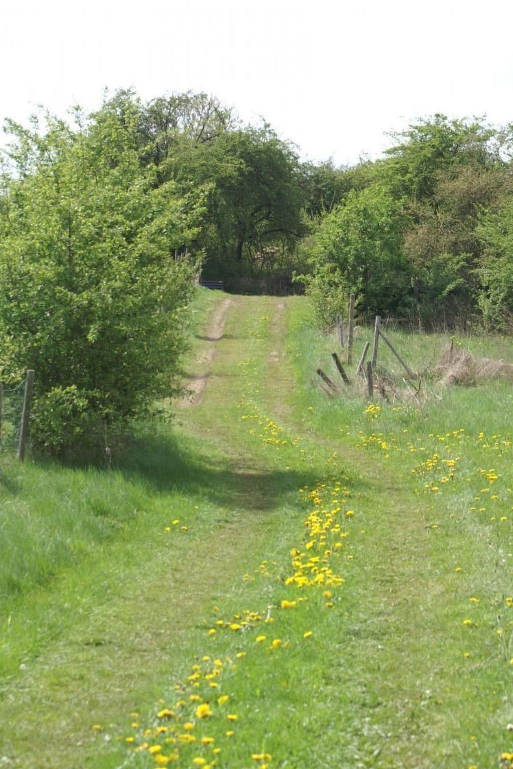 Gallery Image 20