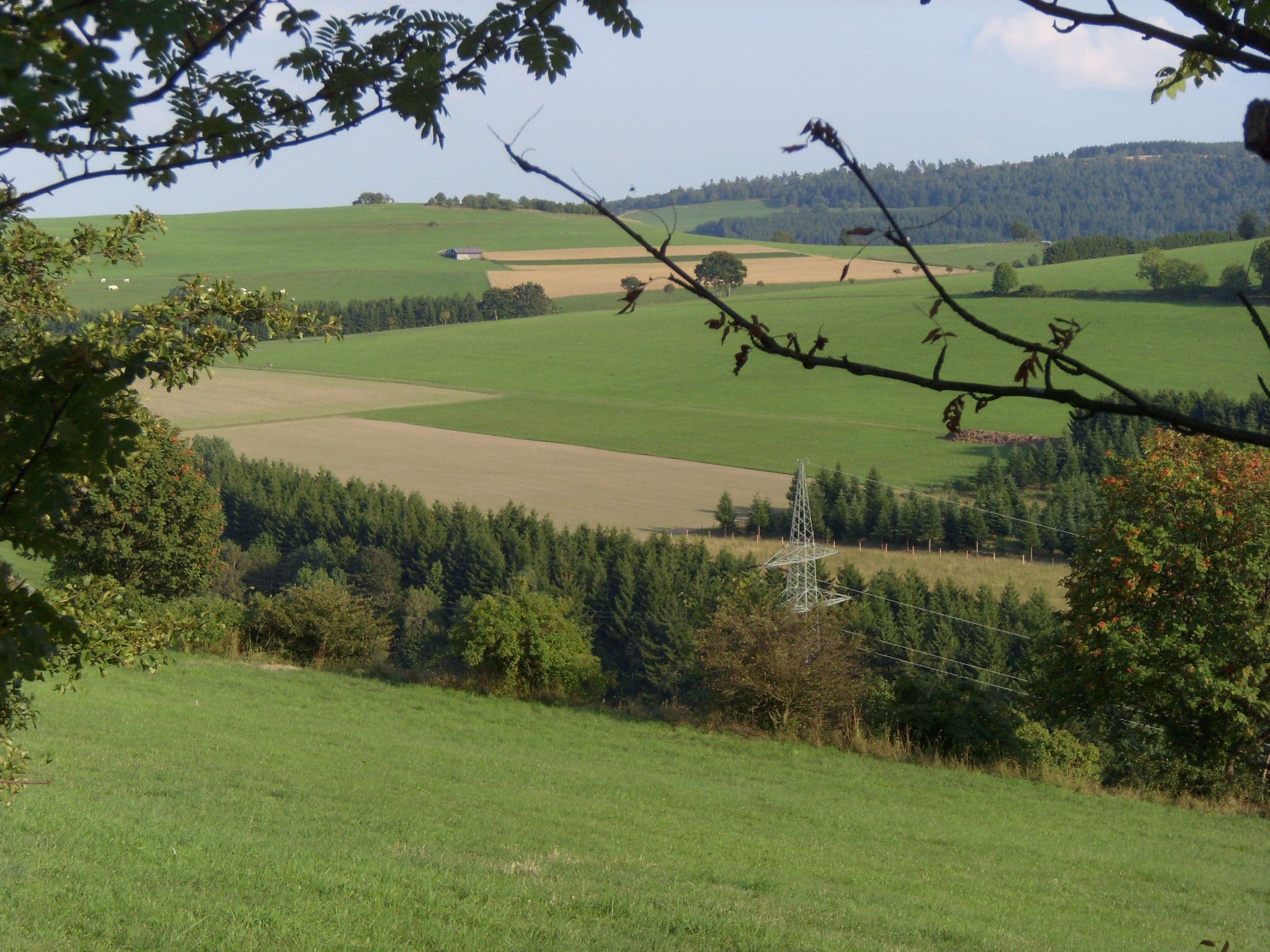 Gallery Image 26