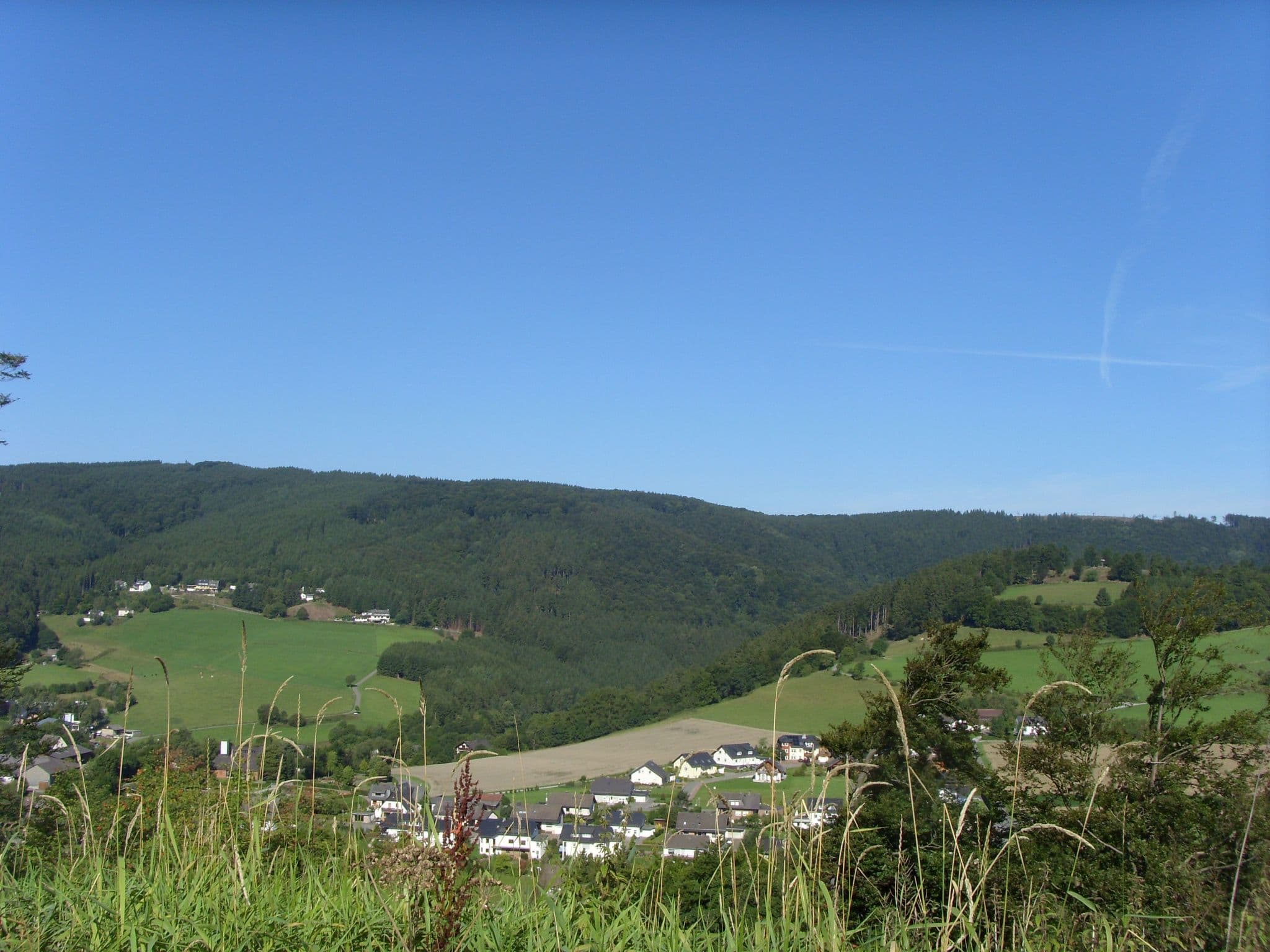 View