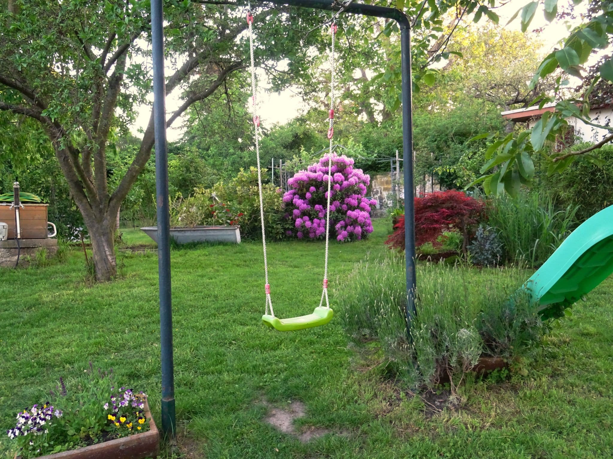 Gallery Image 14