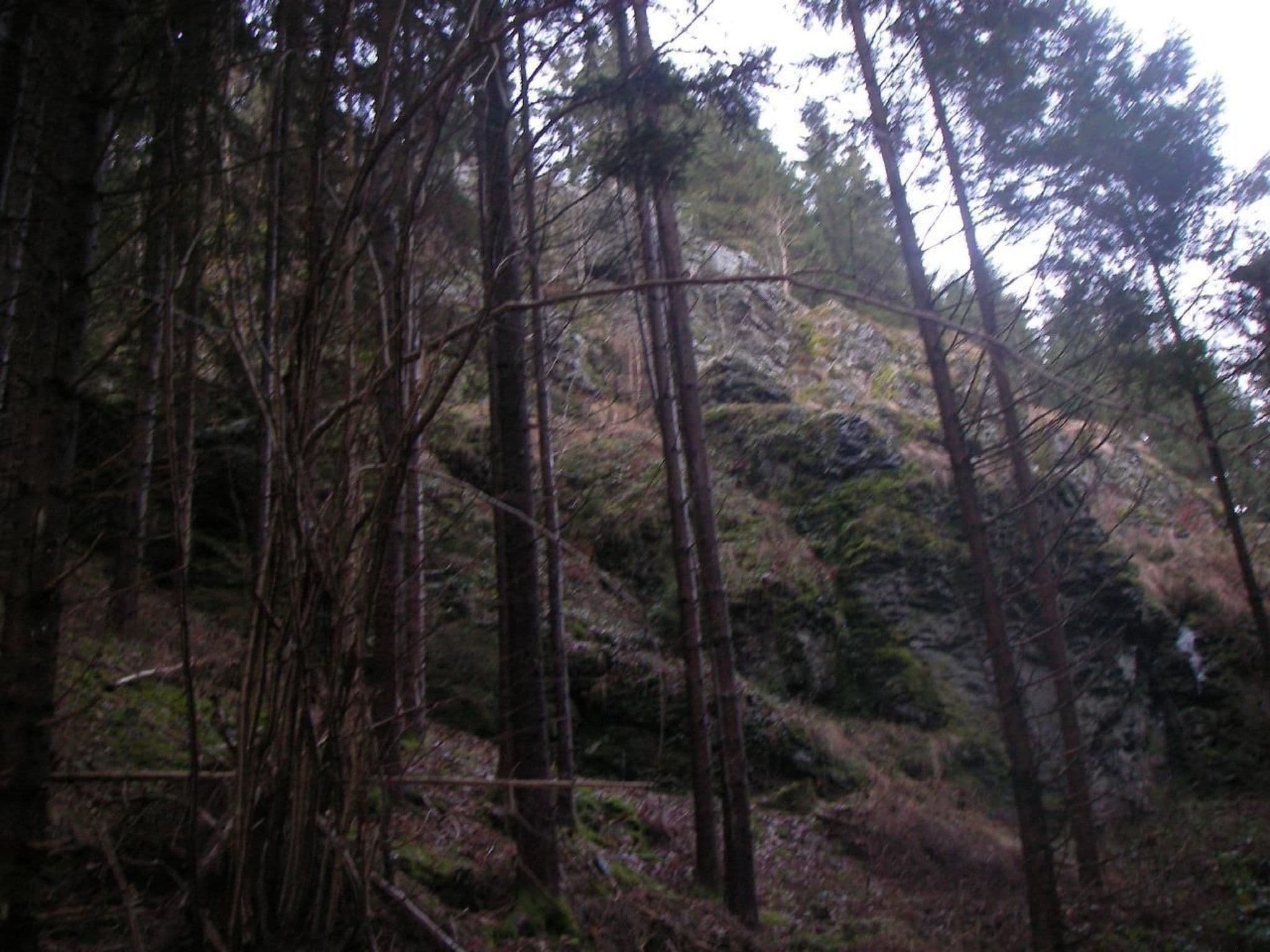 Gallery Image 38